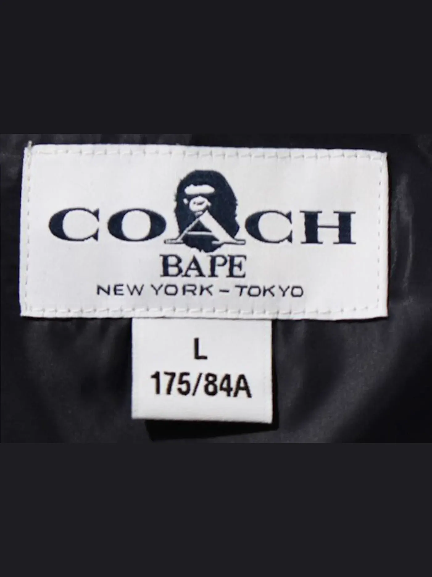 Мужская куртка-ветровка с принтом BAPE x Coach Windbreaker BAPE — изображение 2 из 3, темно-синий