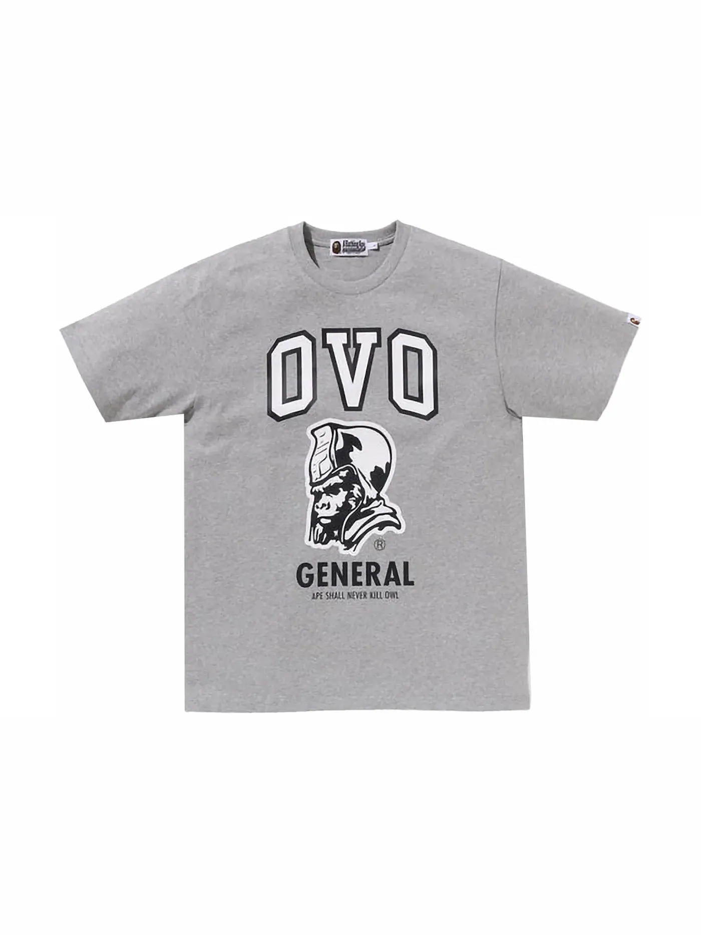 Мужская футболка с принтом BAPE x OVO General Tee BAPE — изображение 1 из 1, серый