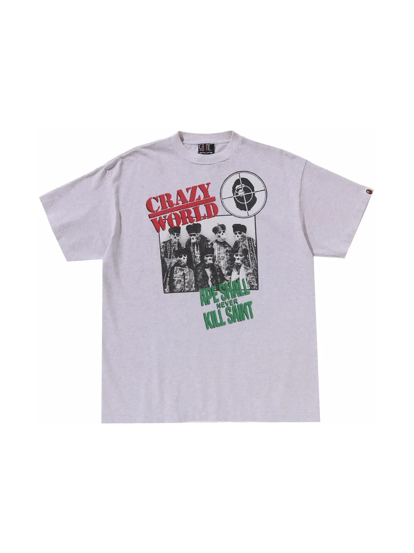 Мужская футболка с принтом BAPE x Saint Mxxxxxx Speech Tee BAPE — изображение 1 из 2, серый