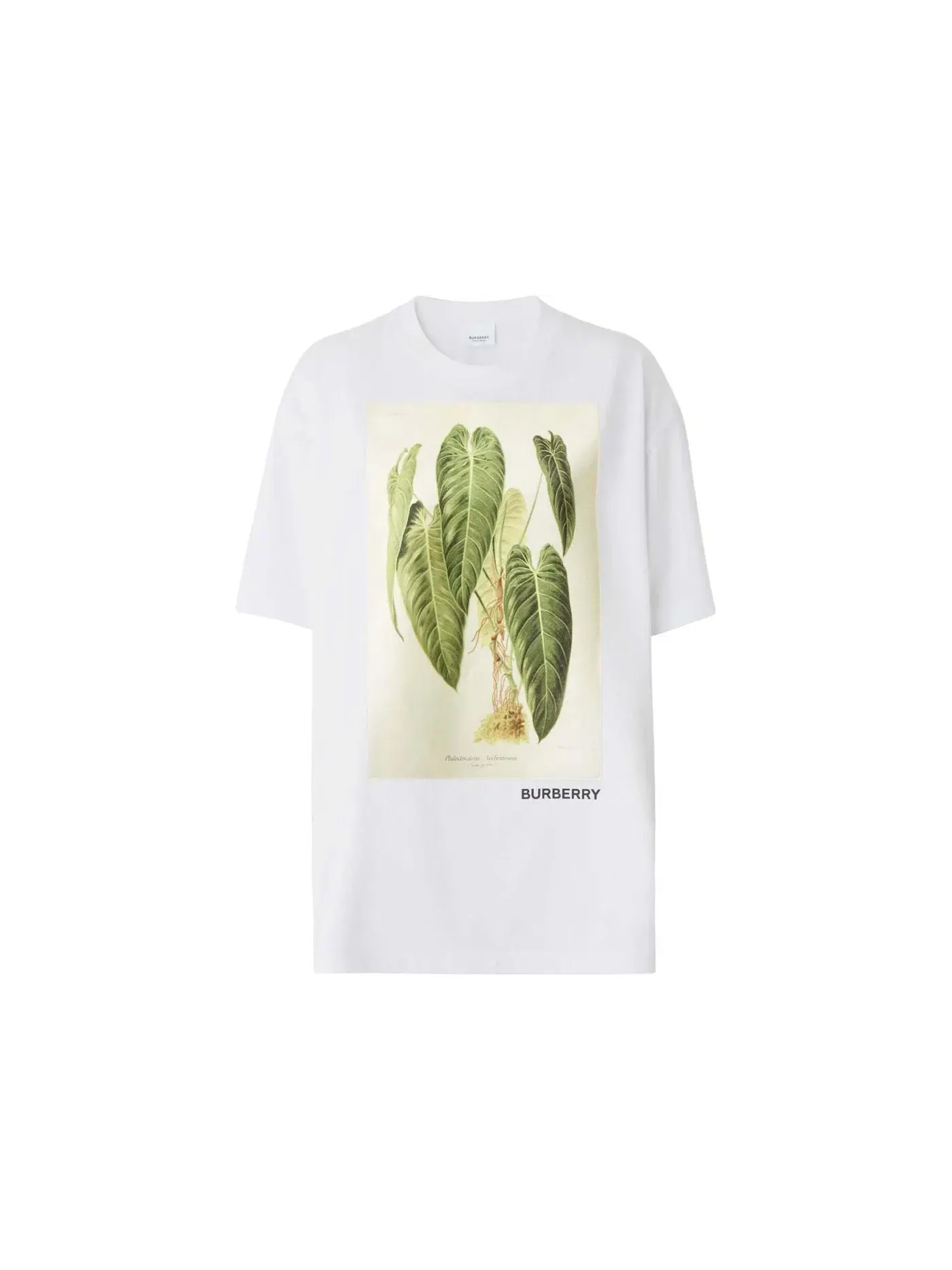 Женская футболка с принтом Botanical Sketch Burberry — изображение 1 из 1, белый