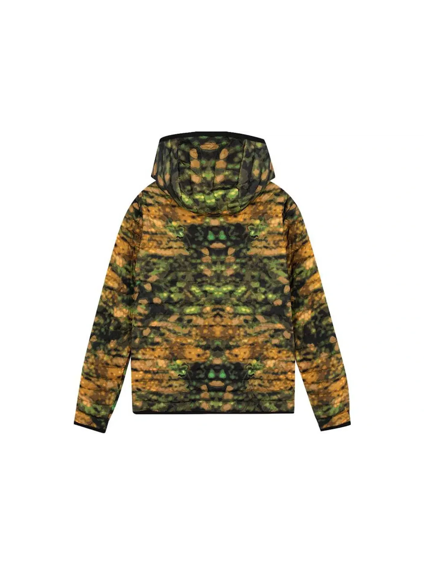 Мужская куртка с графическим принтом Down Graphic Printed Jacket Burberry — изображение 2 из 2, темный зеленый