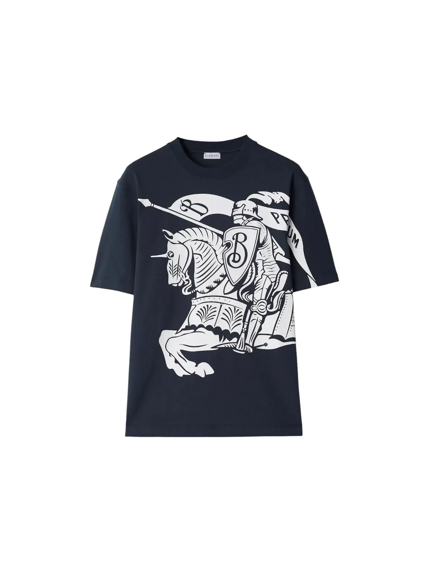 Мужская футболка с принтом Burberry T-shirt — изображение 1 из 1, шторм