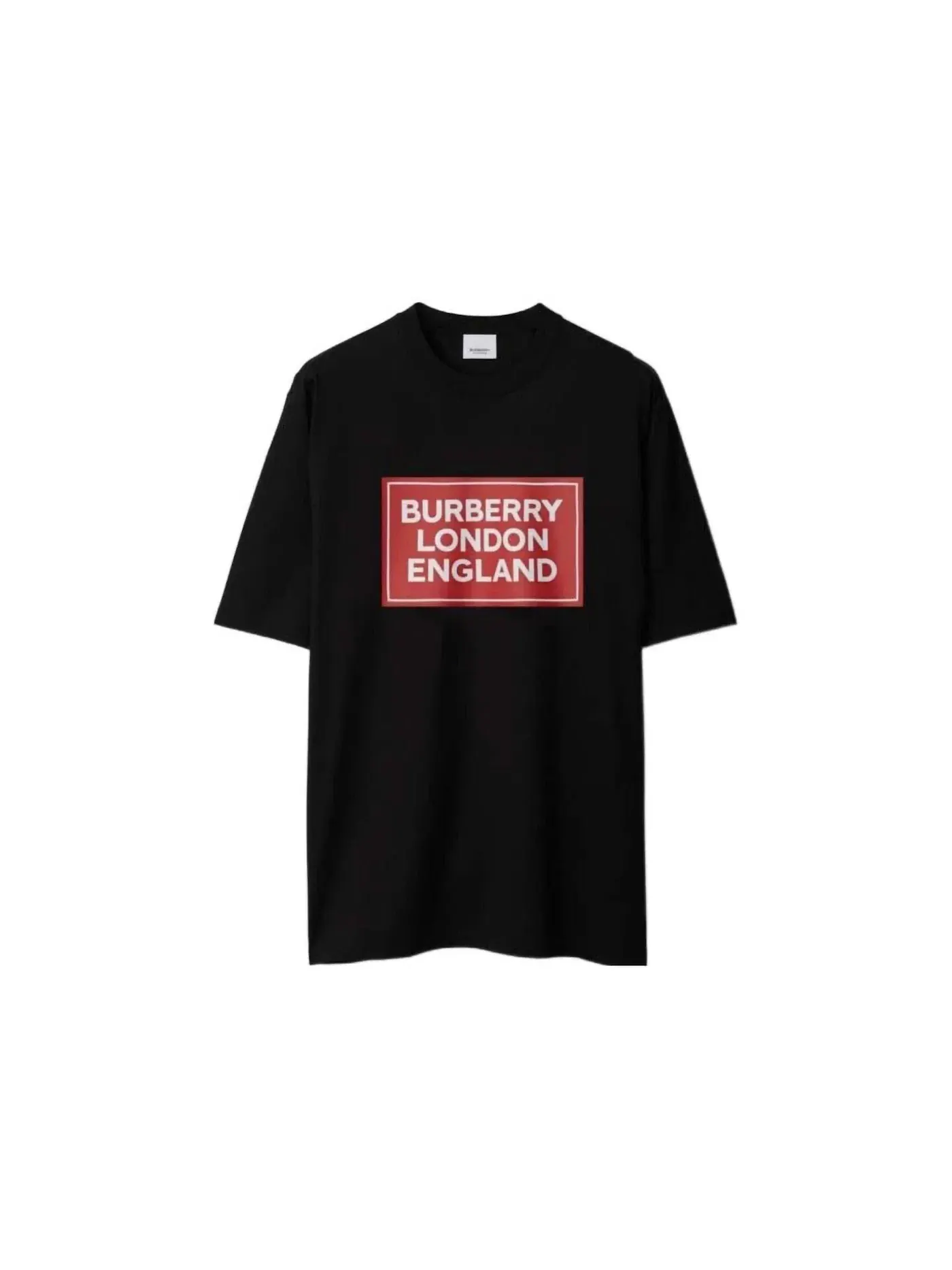 Мужская футболка с принтом Ellison Logo Burberry — изображение 1 из 1, черный