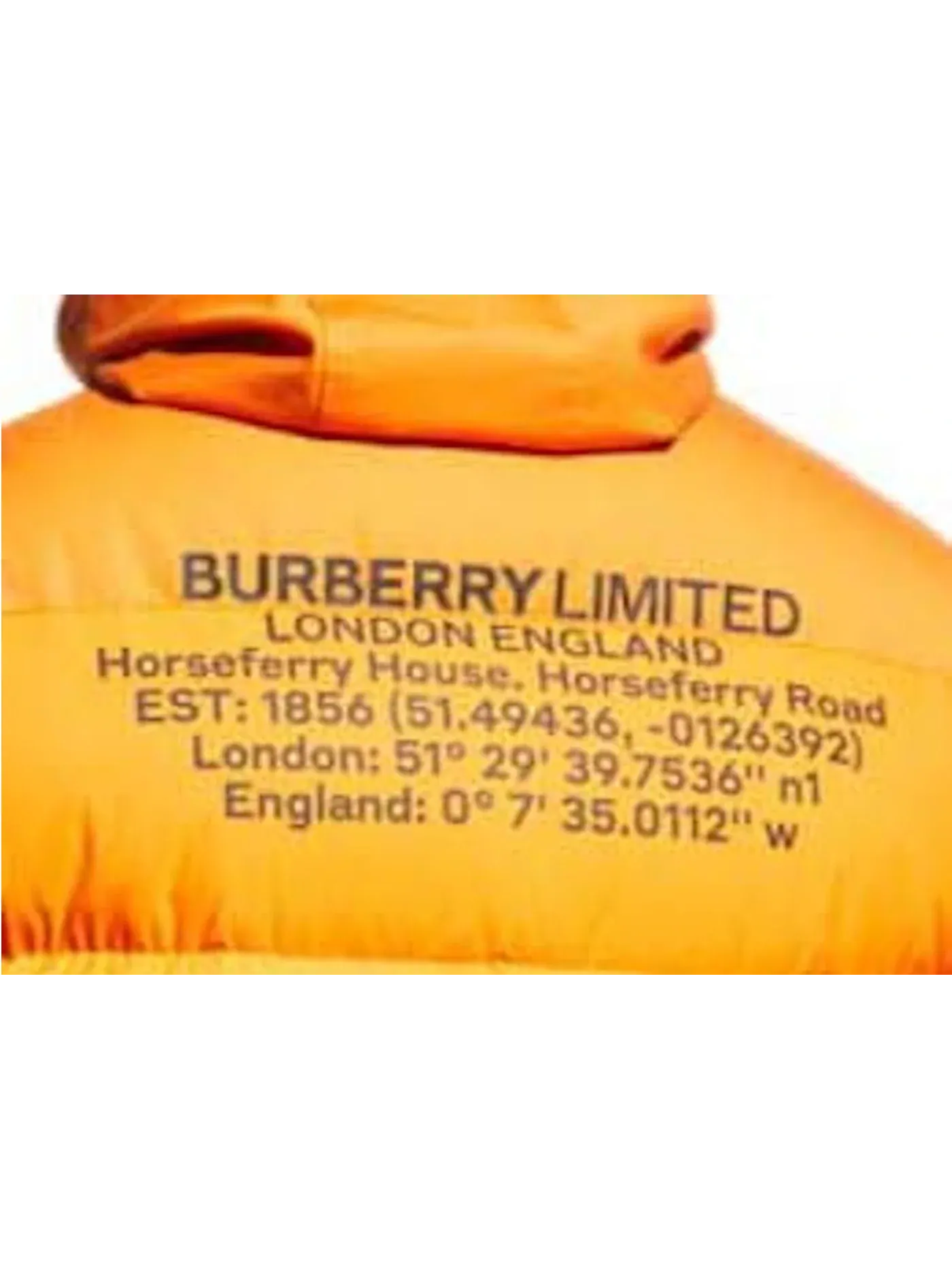 Мужской жилет с наполнителем Halstock Down Burberry — изображение 2 из 2, оранжевый