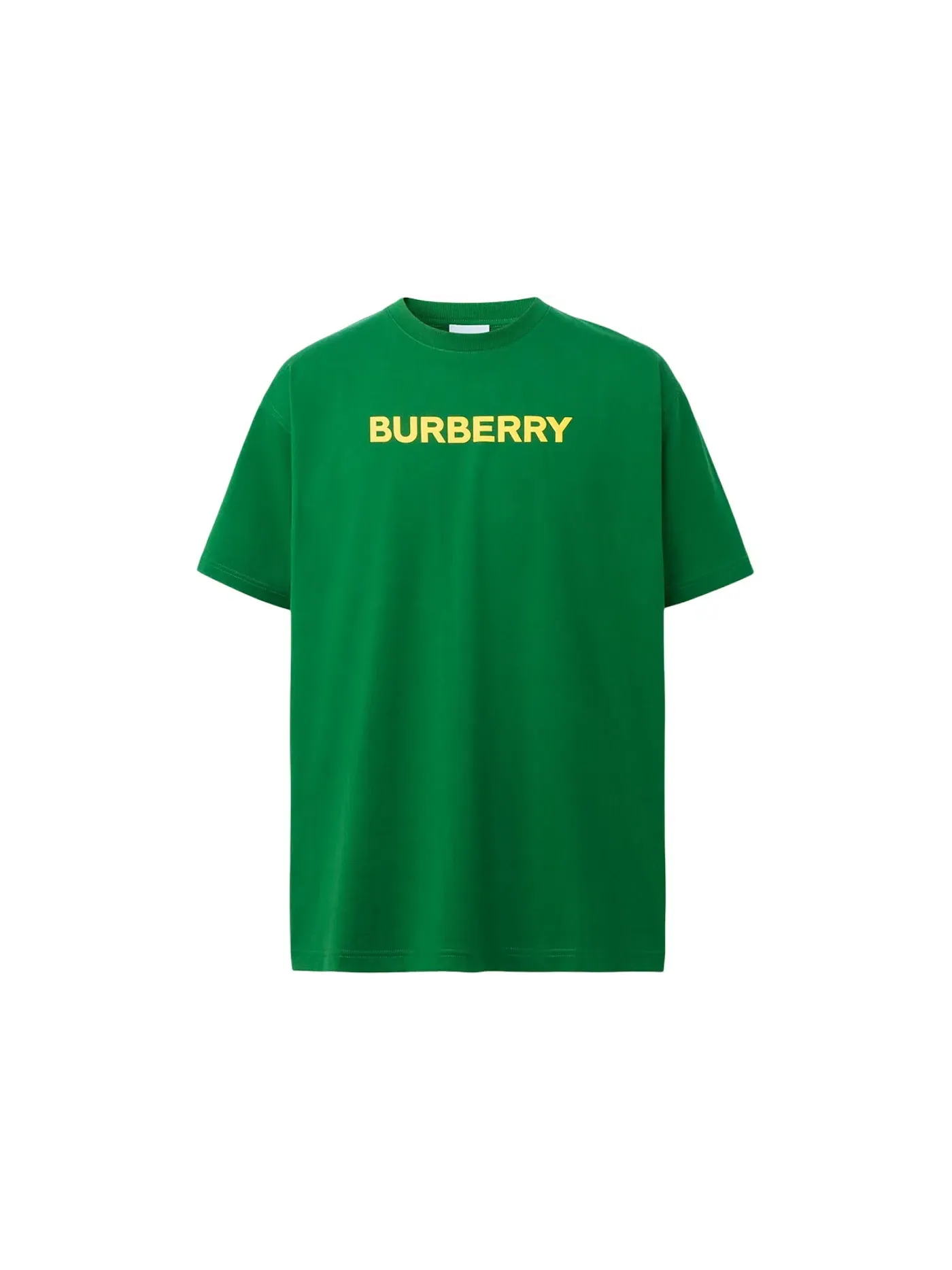 Мужская футболка оверсайз с принтом T-shirt Burberry — изображение 1 из 1, зеленый/желтый