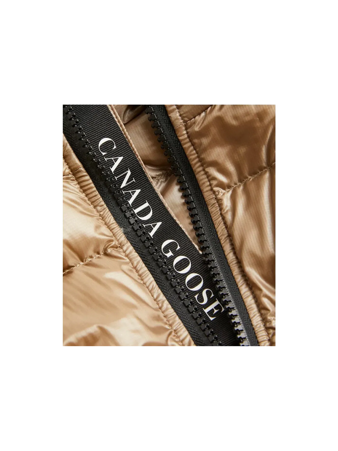 Мужская куртка пуховая slim fit с принтом Canada Goose — изображение 2 из 2, бежевый