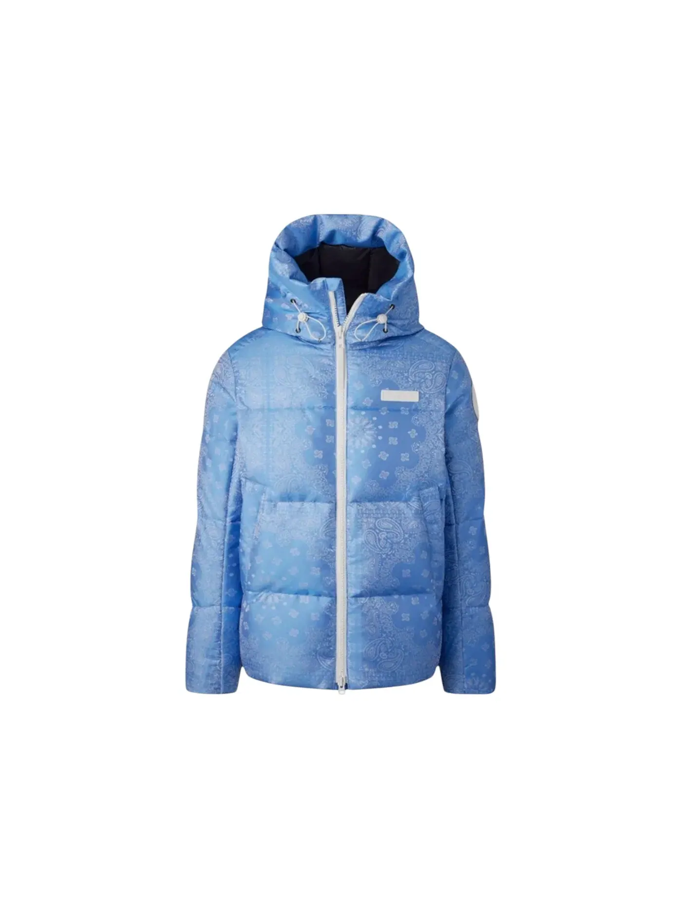 Мужская парка с принтом Parka Canada Goose, Polar Sky — изображение 1 из 2