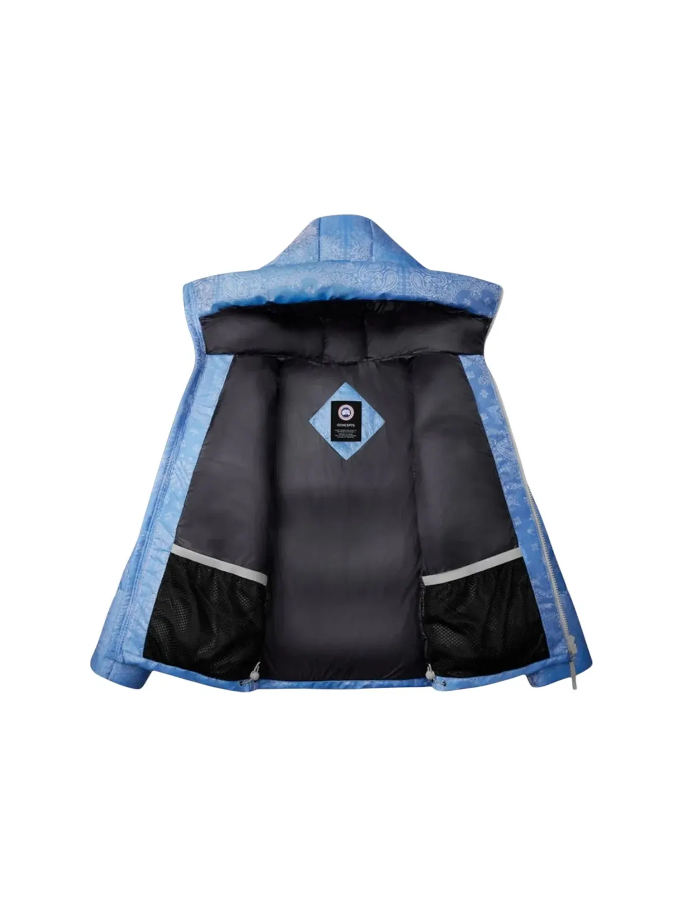 Мужская парка с принтом Parka Canada Goose, Polar Sky — изображение 2 из 2