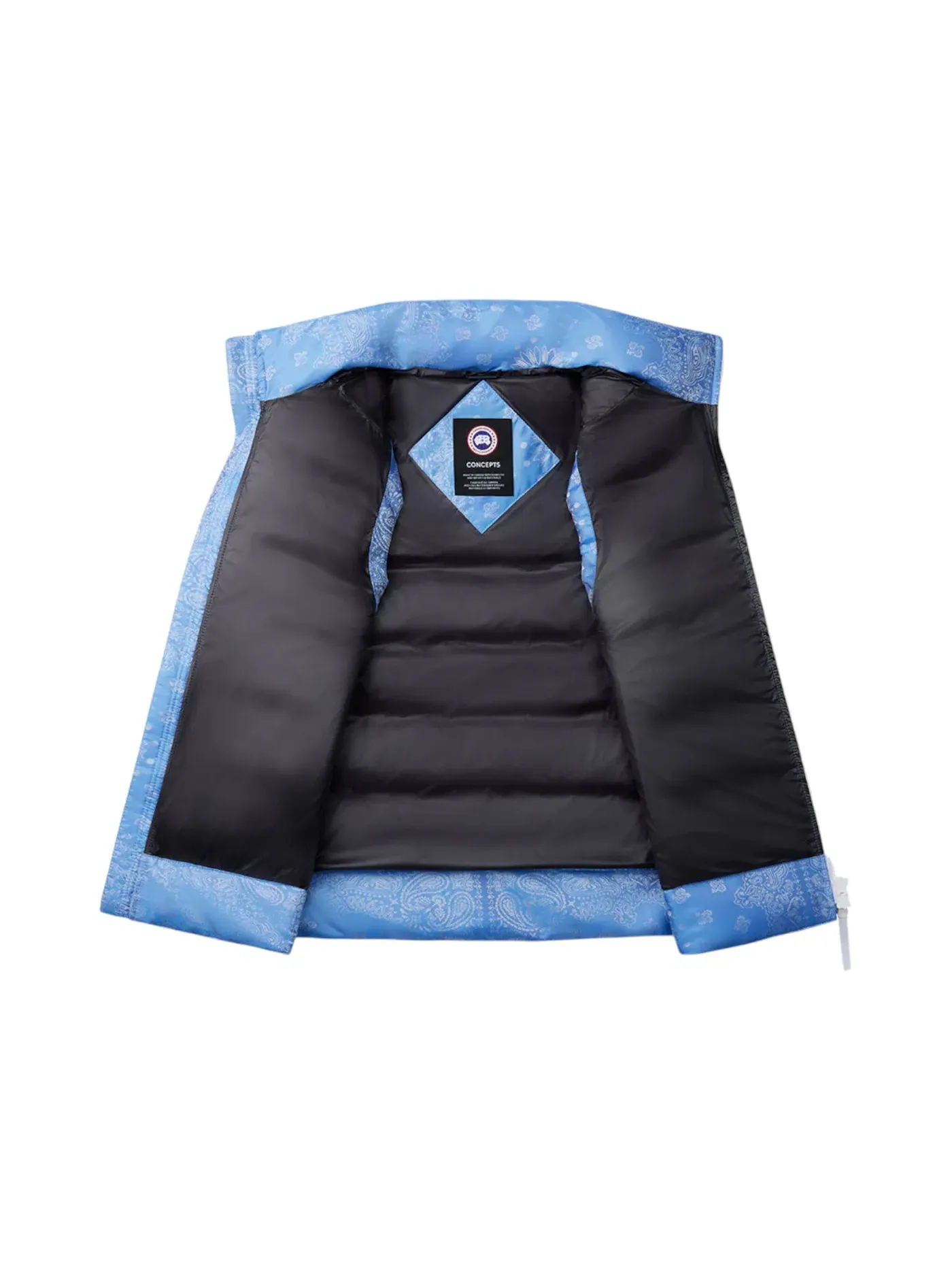 Мужской жилет с принтом Bandana Canada Goose, Polar Sky — изображение 2 из 2