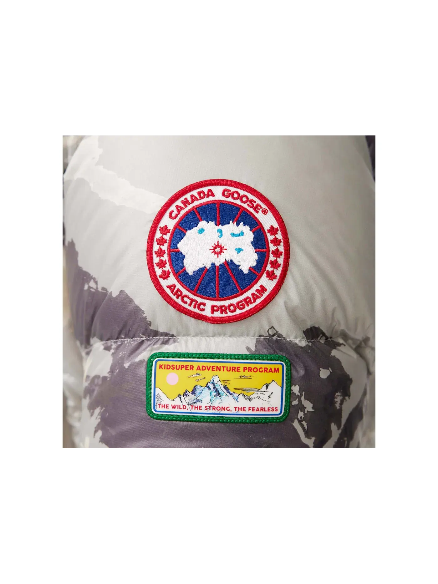 Мужская куртка-пуховик с принтом Crofton Puffer Jacket Canada Goose, Landscape Print — изображение 2 из 3