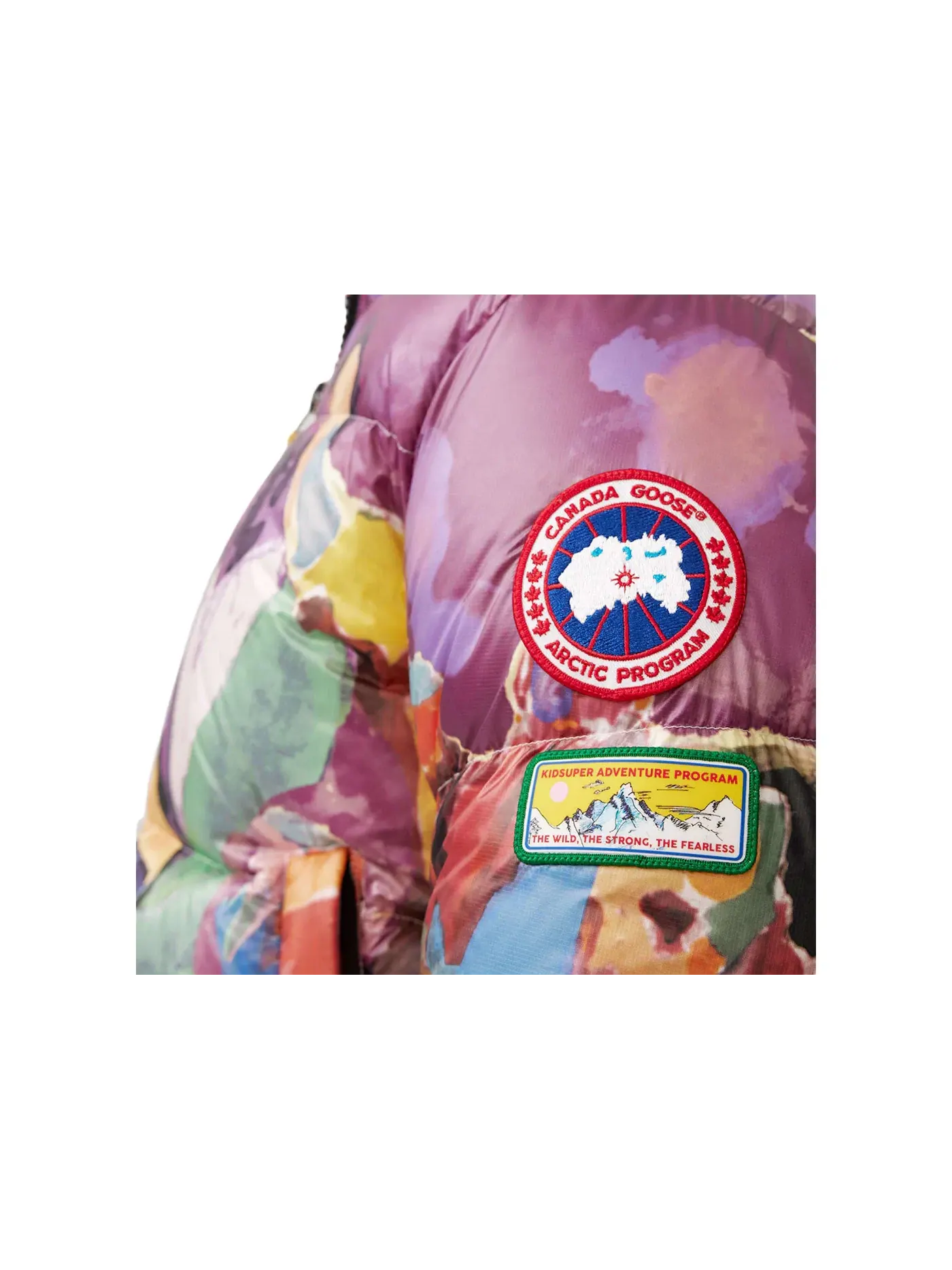 Мужская пуховая куртка с принтом Crofton Puffer Jacket Crowd Print Canada Goose, Crowd Print — изображение 2 из 3