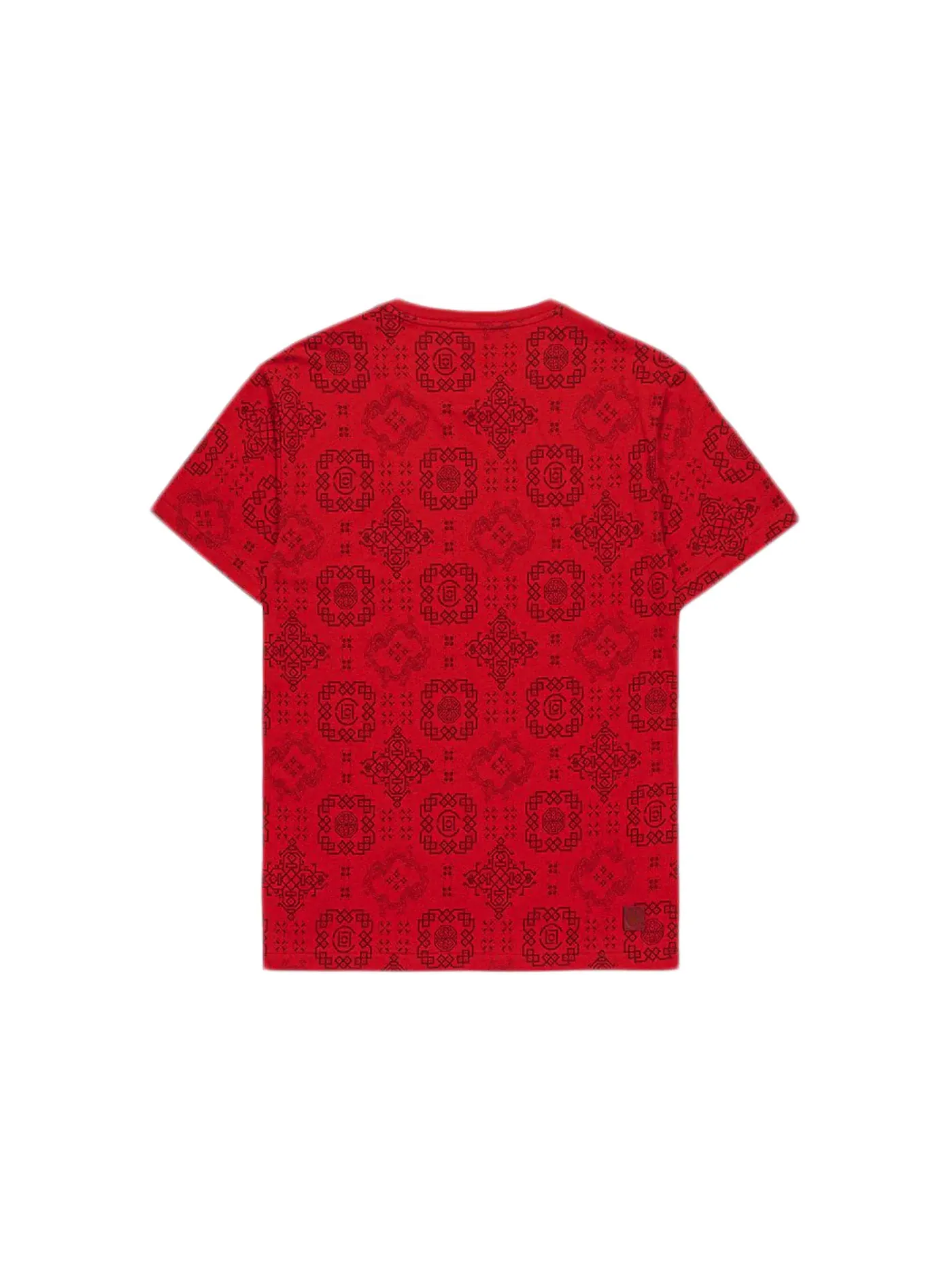 Мужская футболка с принтом S/S CN T-Shirt CLOT — изображение 2 из 2, красный