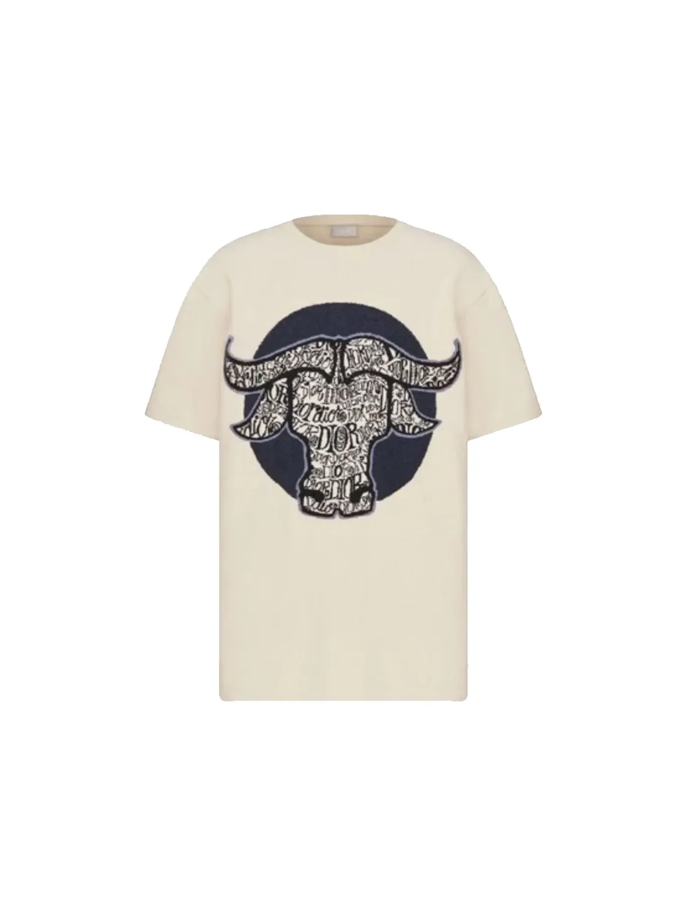 Мужская футболка оверсайз Dior And Shawn T-Shirt (SS21) Dior — изображение 1 из 1, белый