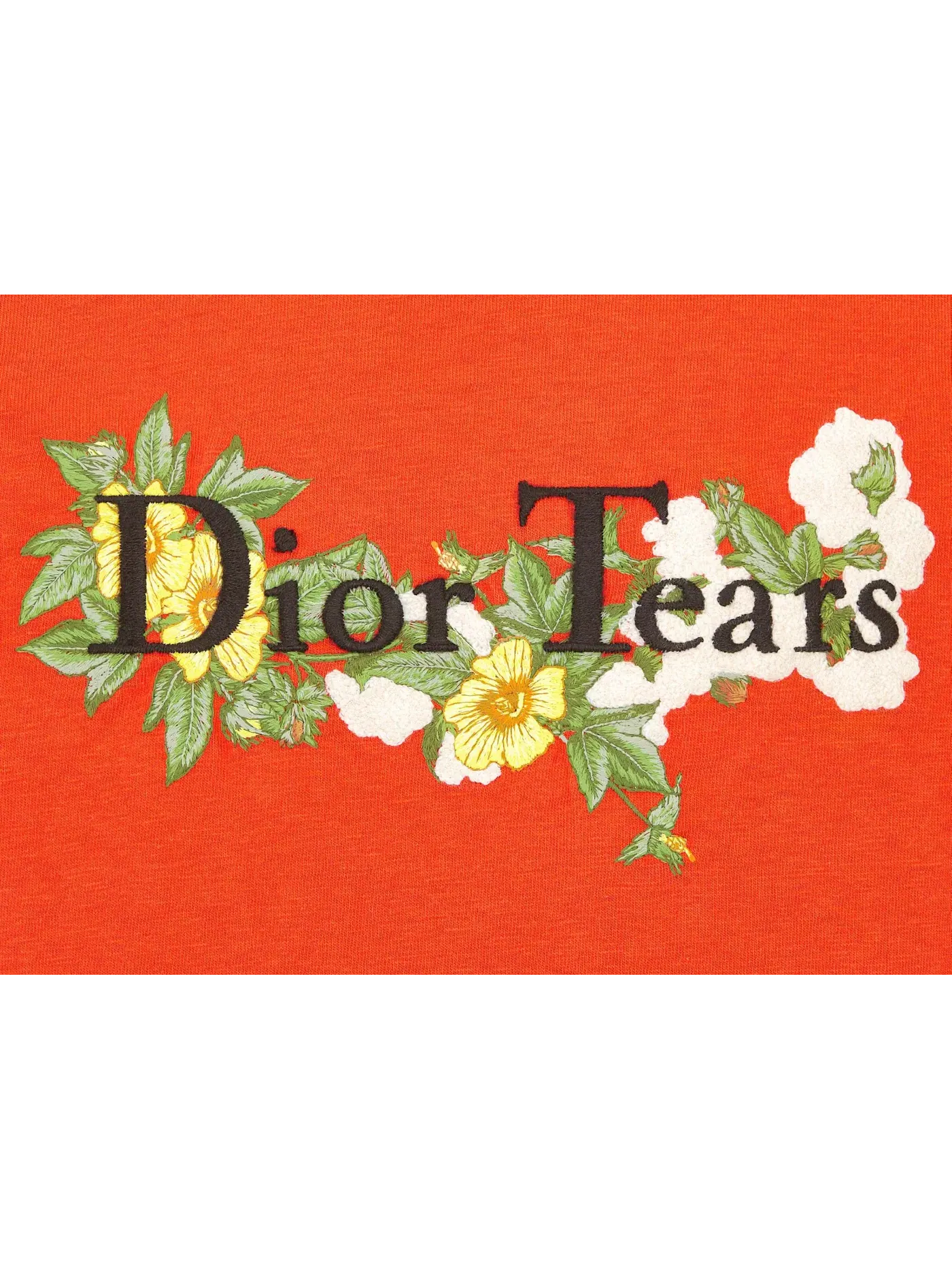 Мужская футболка с принтом Dior Tears Dior — изображение 2 из 2, красный