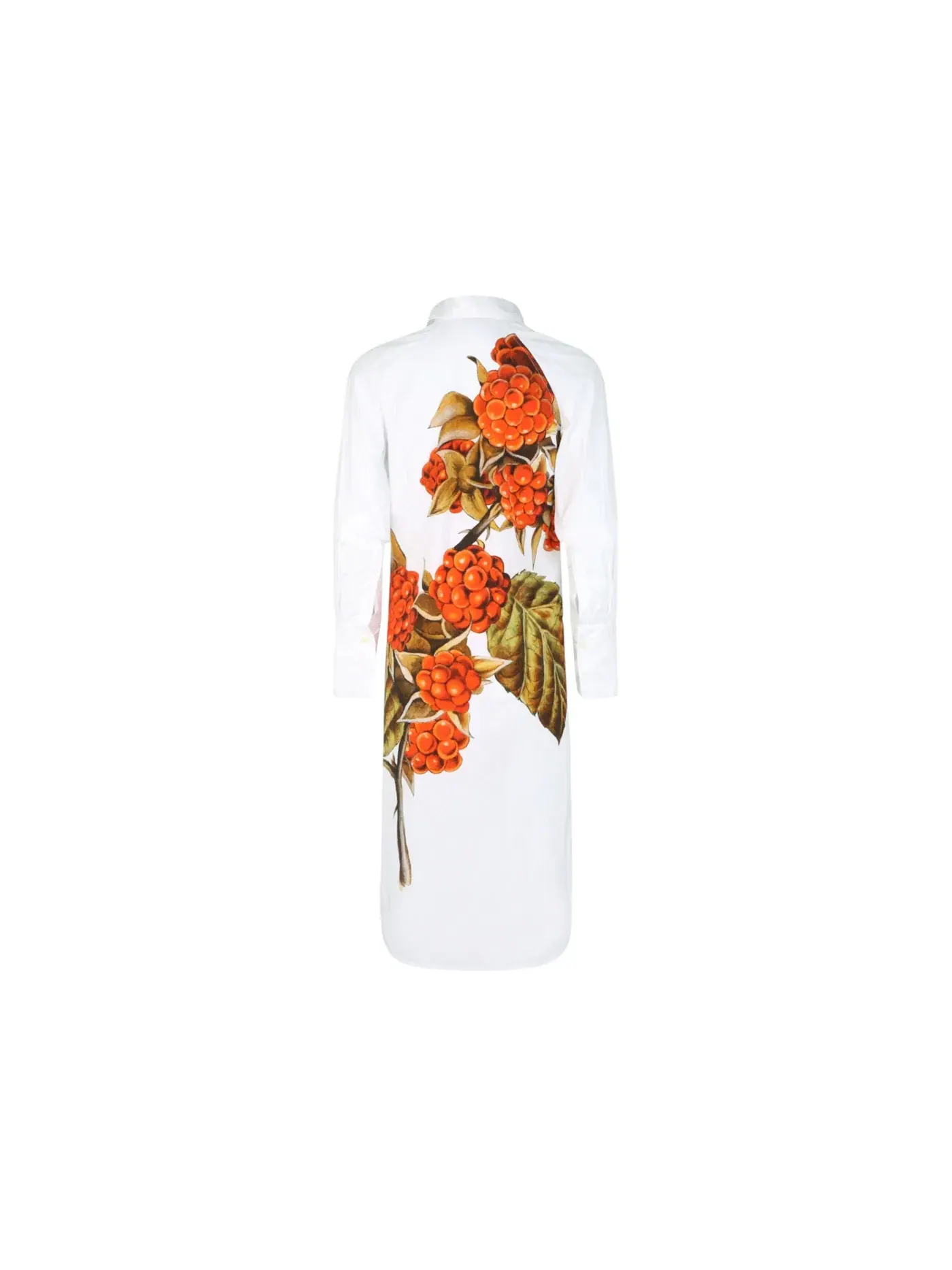 Женское платье-рубашка с принтом Botanical Print Ferragamo — изображение 2 из 3, кость