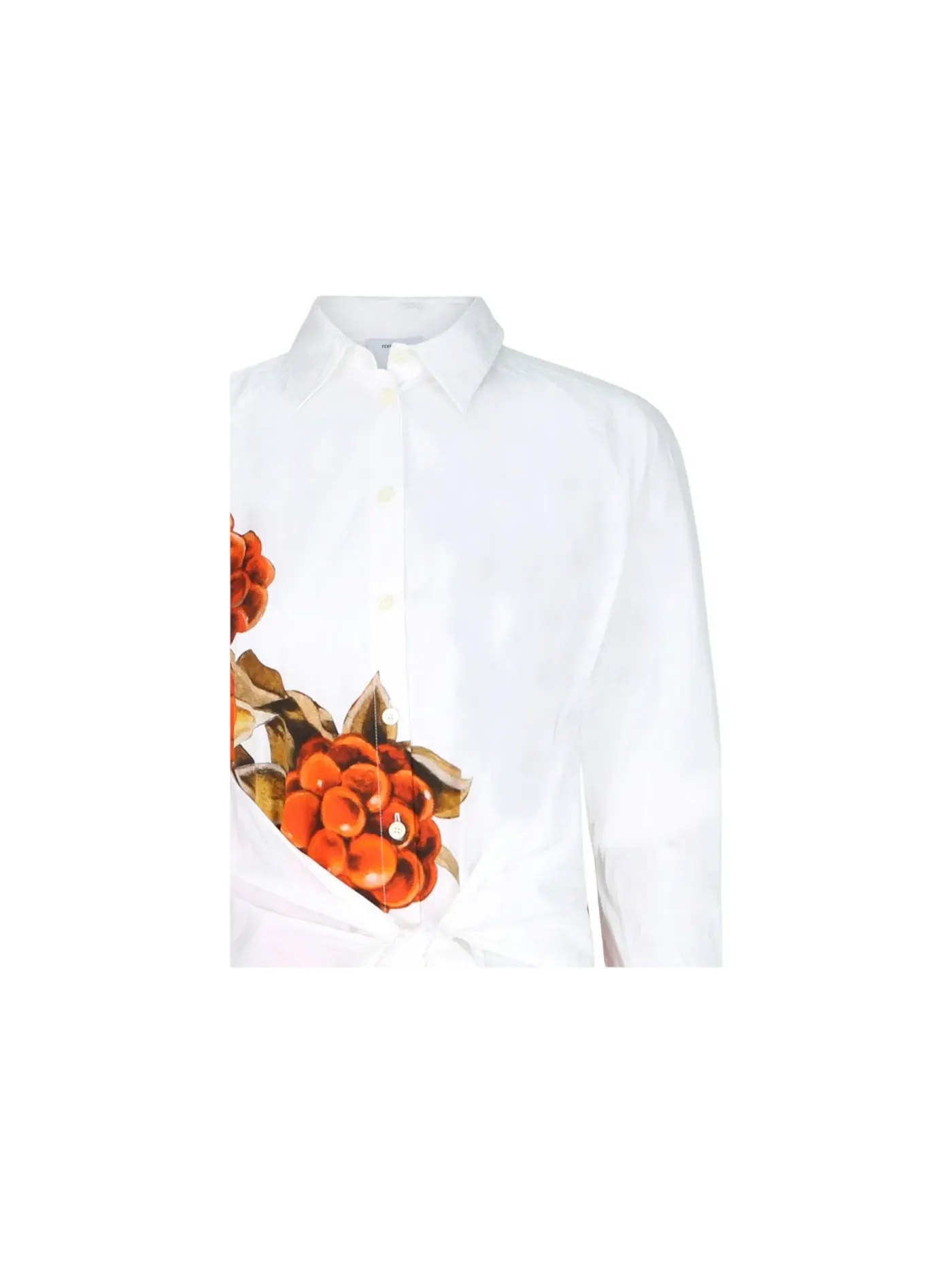 Женское платье-рубашка с принтом Botanical Print Ferragamo — изображение 3 из 3, кость