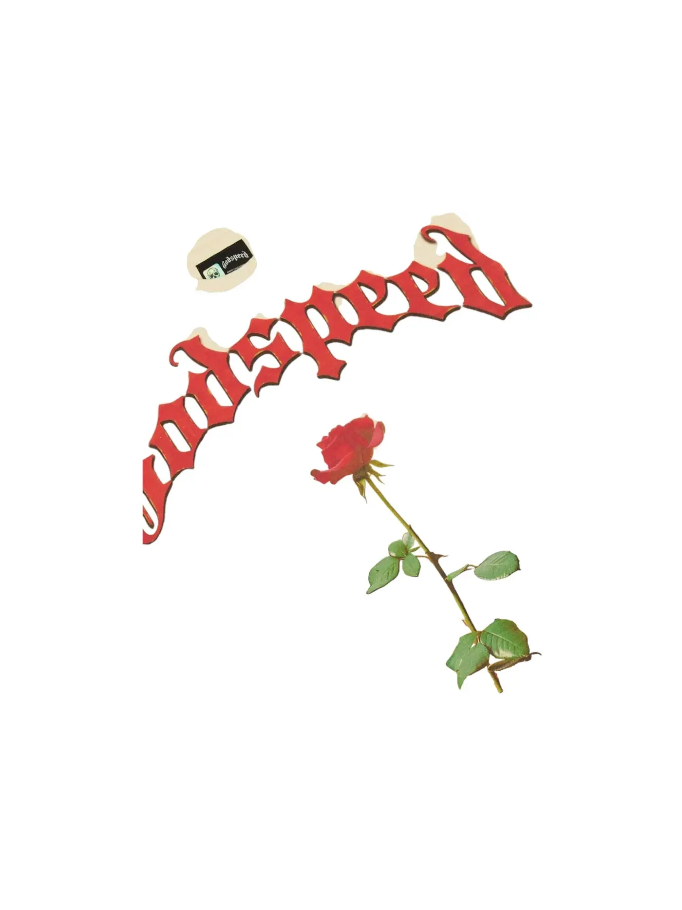Мужская футболка с принтом Concrete Rose Godspeed — изображение 3 из 3, кость