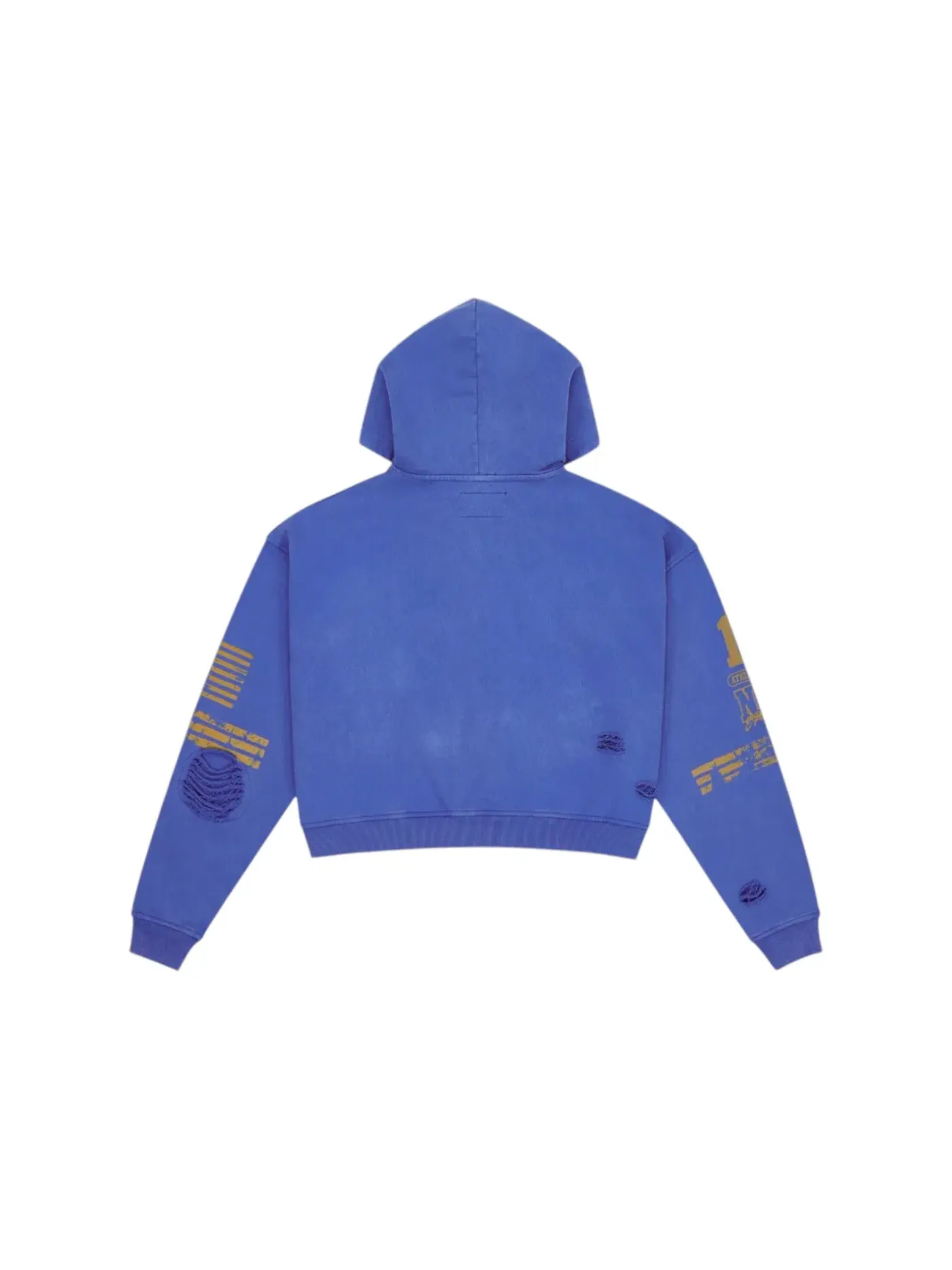 Мужская худи на молнии Godspeed Hoodie — изображение 2 из 2, синий/желтый