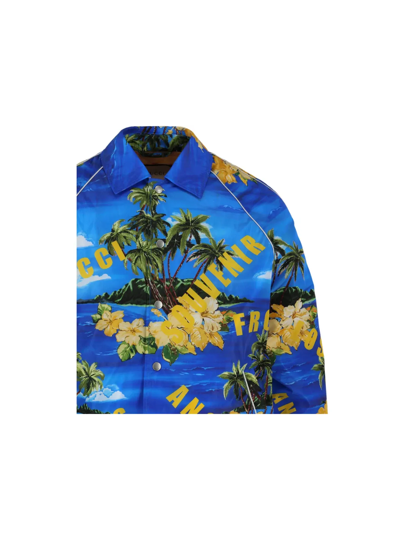 Мужская куртка с принтом Jacket Gucci — изображение 3 из 3, мульти