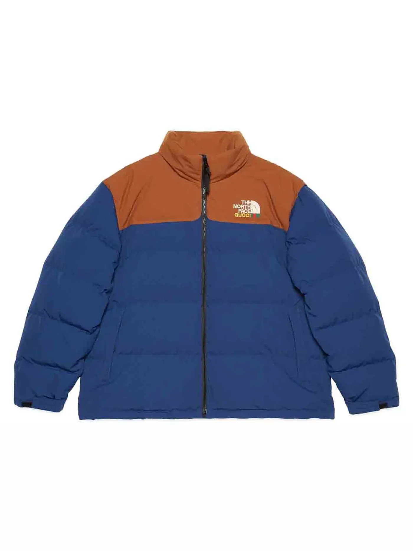 Мужская куртка пуховая с принтом The North Face x Gucci Jacket — изображение 1 из 1, синий/коричневый