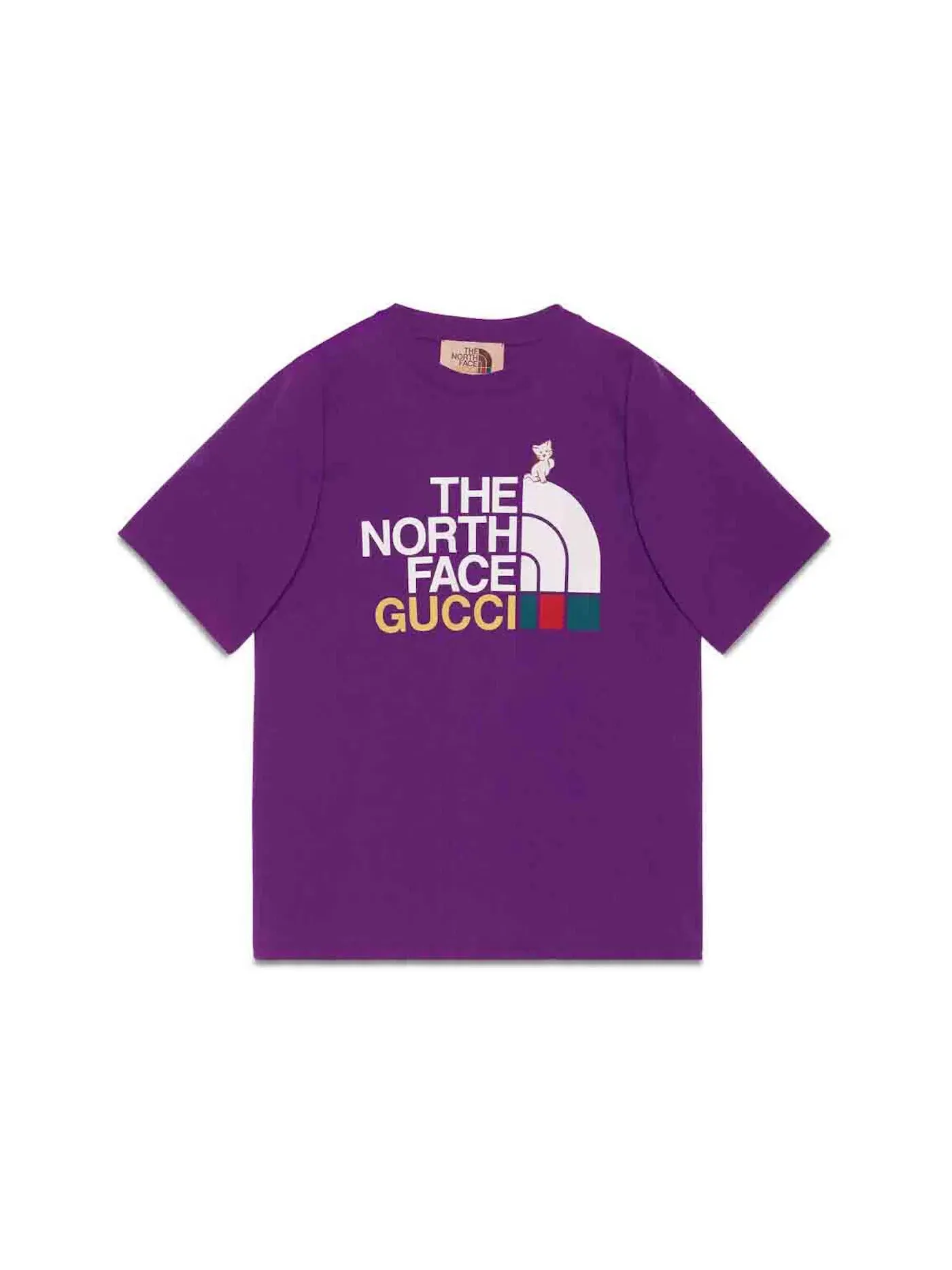 Мужская футболка с принтом Gucci x The North Face T-shirt — изображение 1 из 1, фиолетовый