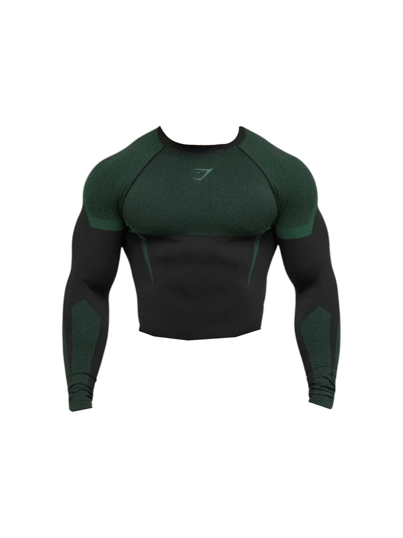 Мужская футболка с длинным рукавом бесшовная Onyx 5.0 Seamless Longsleeve T-shirt Gymshark — изображение 1 из 1