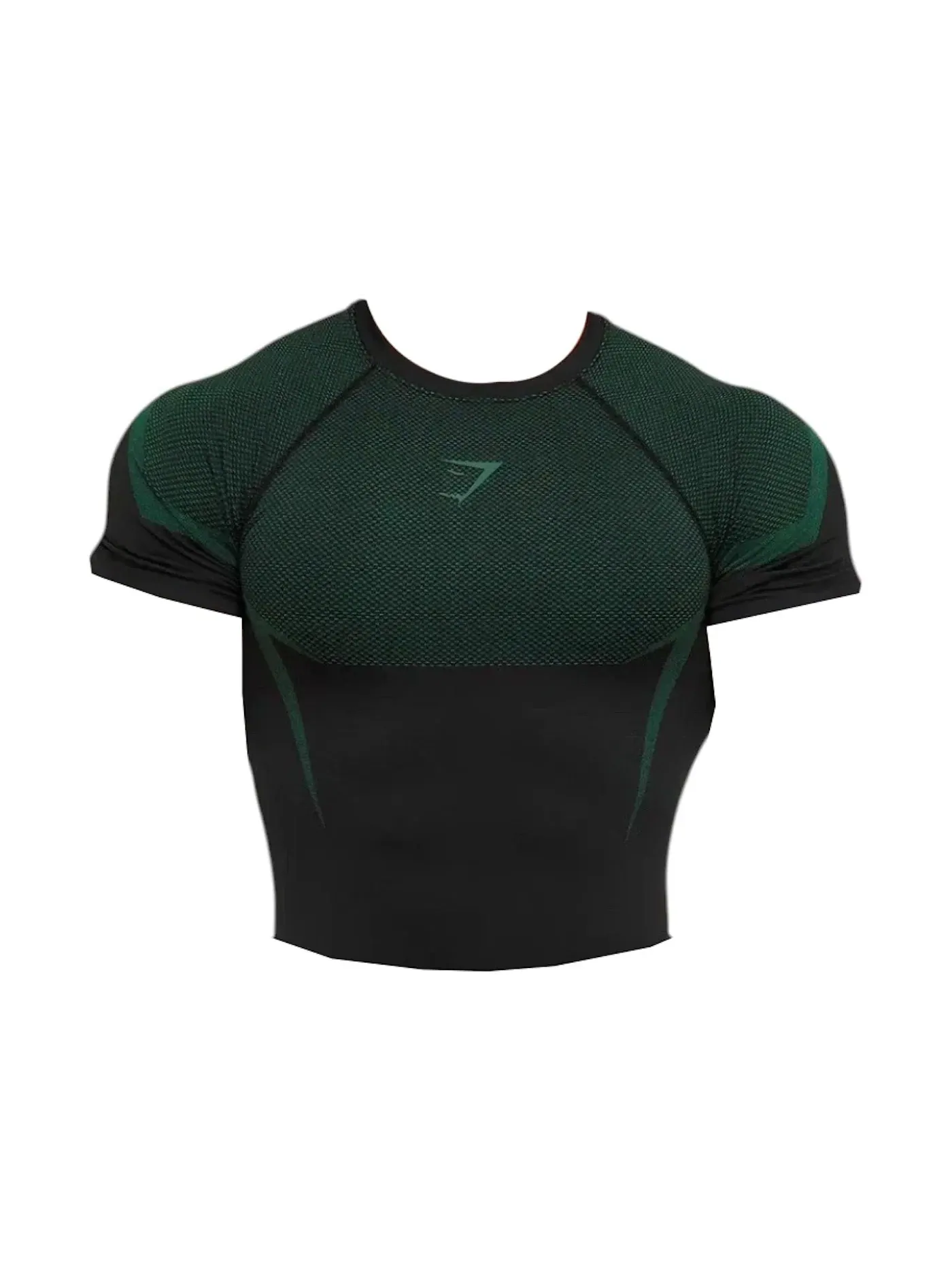 Мужская футболка с принтом Onyx 5.0 Seamless T-shirt Gymshark — изображение 1 из 1, черный/зеленый