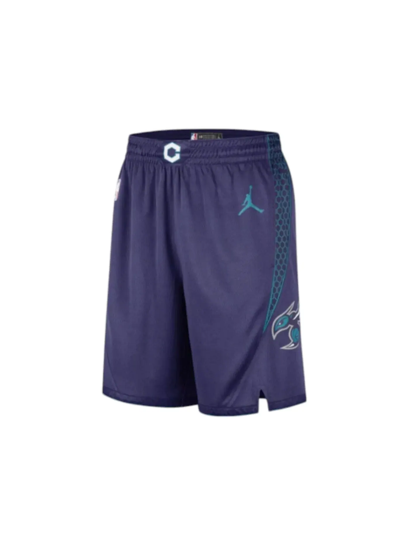 Мужские шорты с принтом Jordan Charlotte Hornets Statement Edition — изображение 1 из 2, фиолетовый/белый