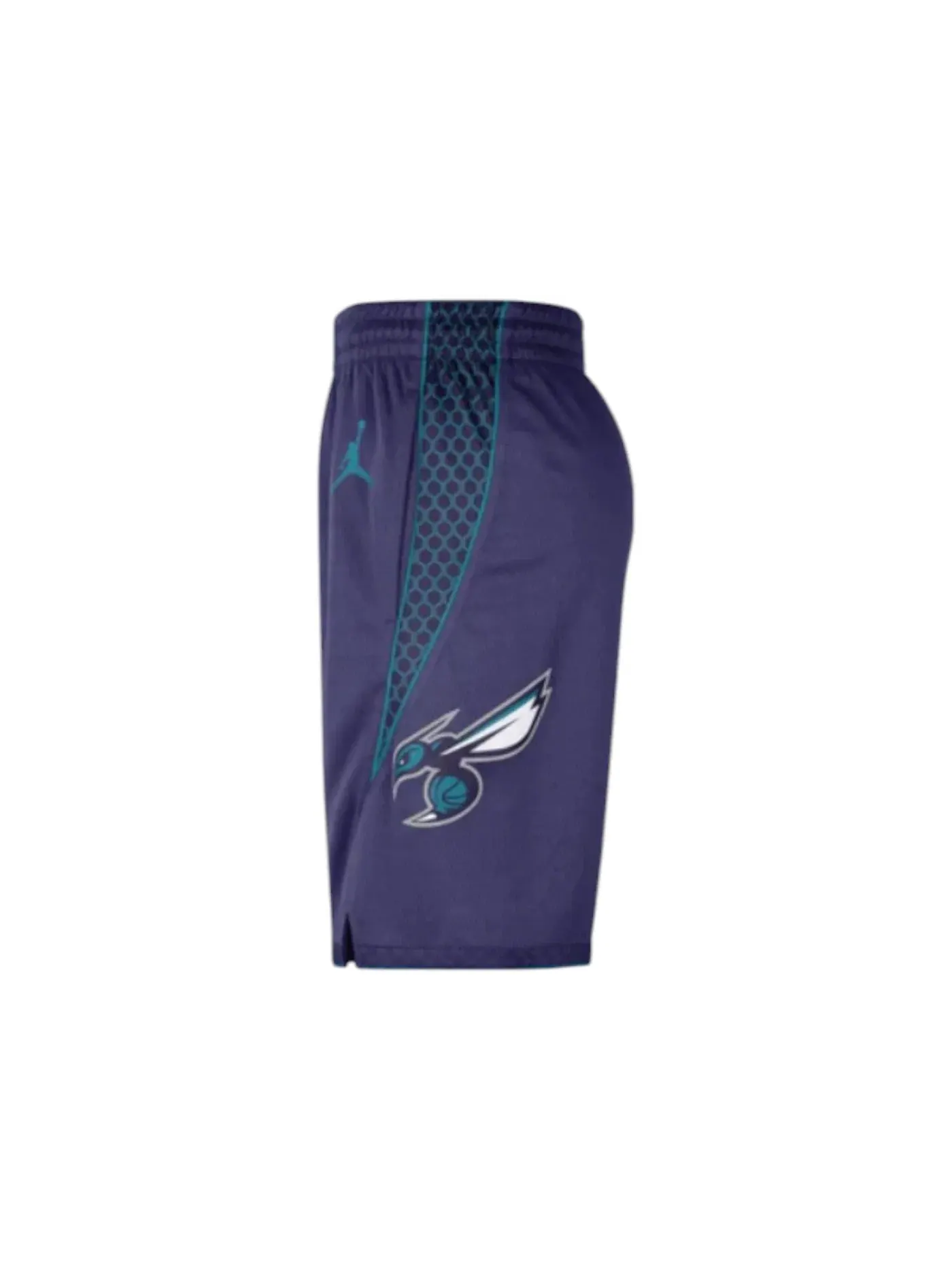Мужские шорты с принтом Jordan Charlotte Hornets Statement Edition — изображение 2 из 2, фиолетовый/белый