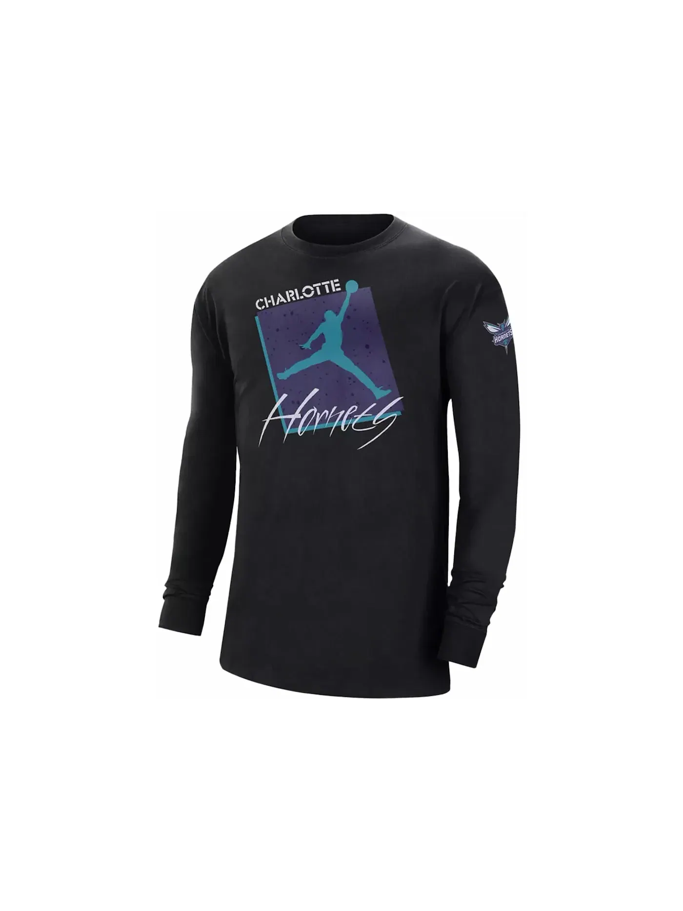 Мужская футболка с принтом Jordan NBA Charlotte Hornets Courtside Statement Edition Max 90 T-shirt — изображение 1 из 2