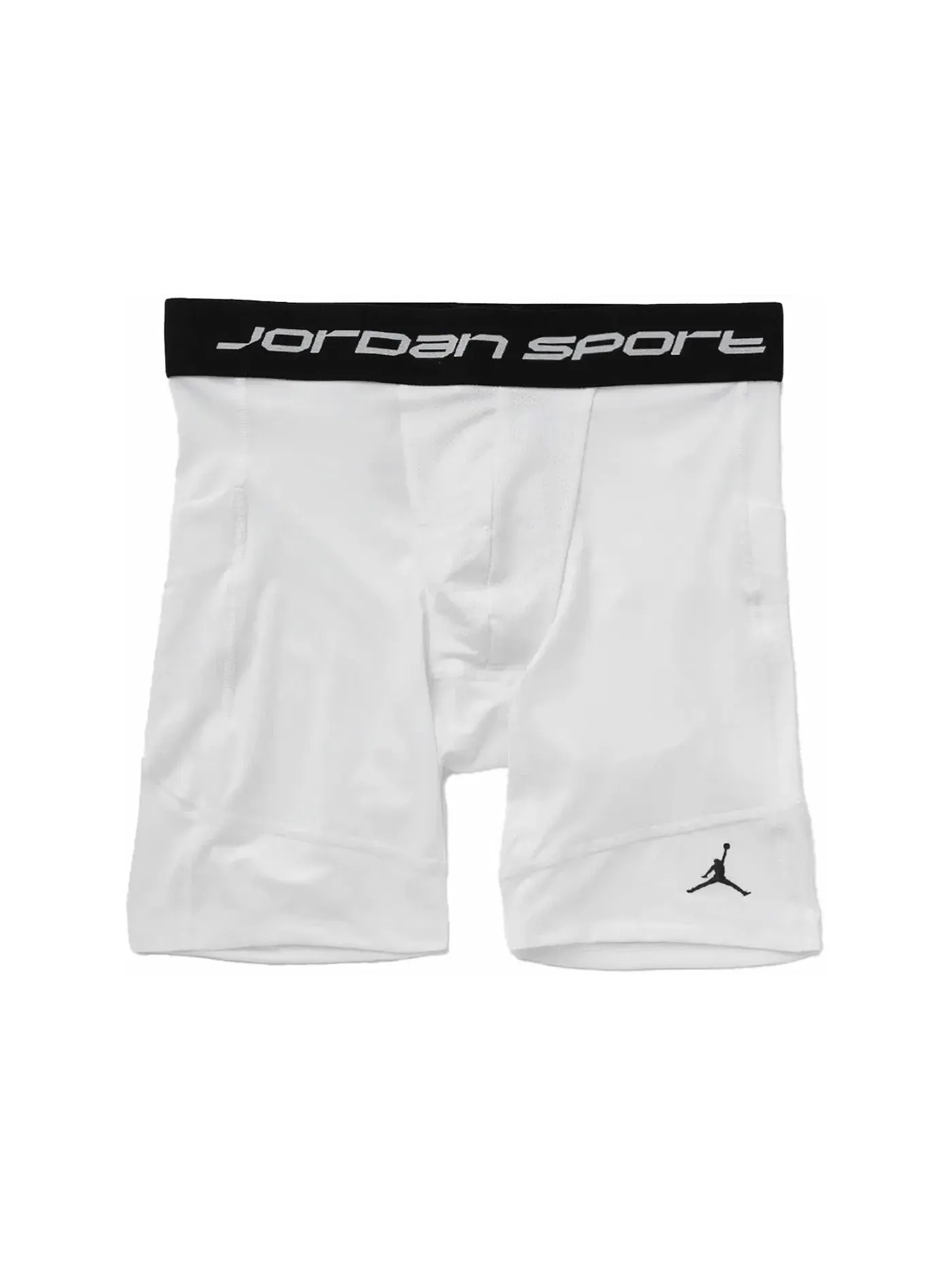 Мужские шорты спортивные Dri-FIT Jordan — изображение 1 из 1, белый