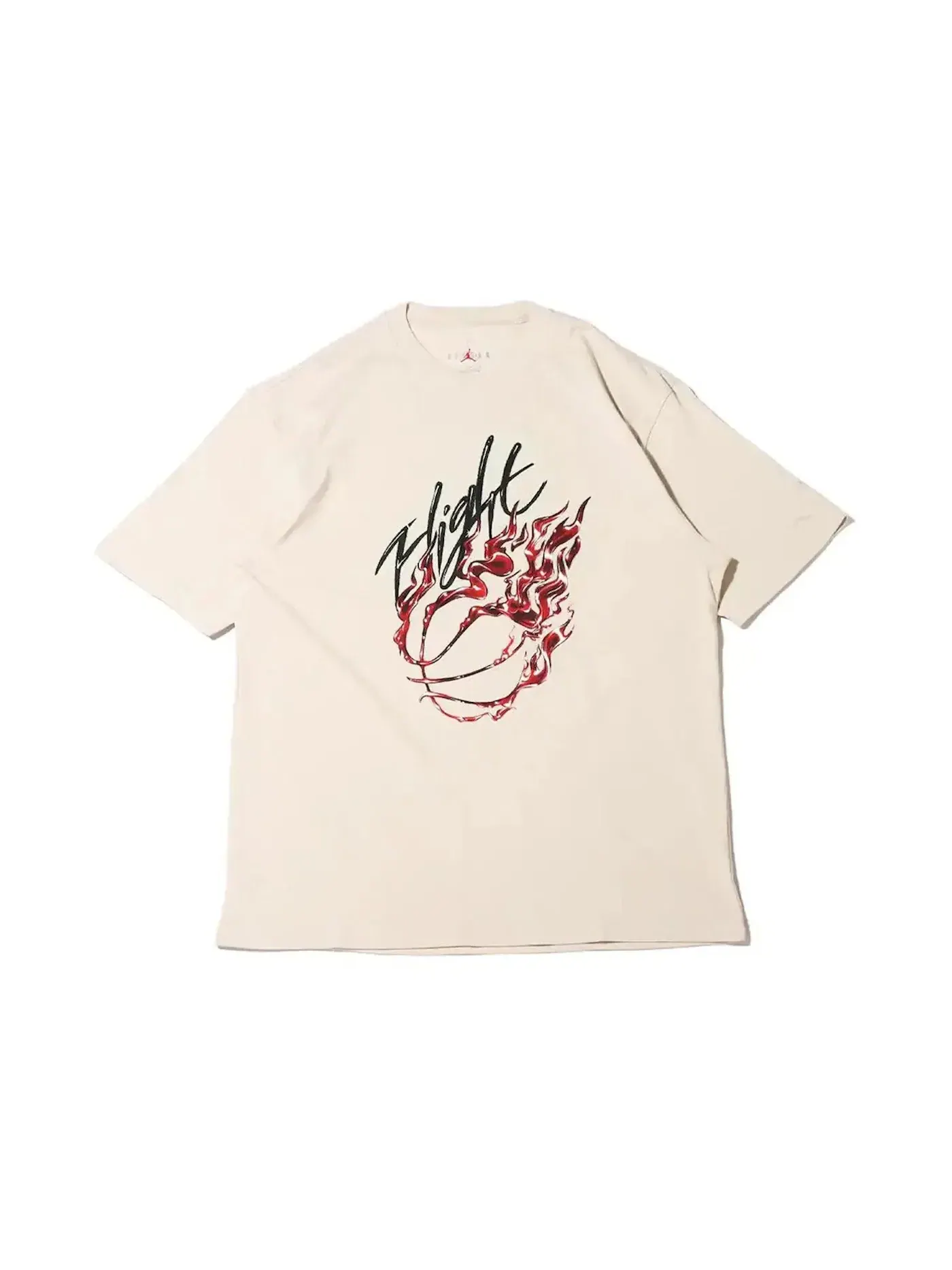 Мужская футболка с принтом Jordan x Travis Scott Flight Graphic Tee Jordan — изображение 1 из 2, бежевый