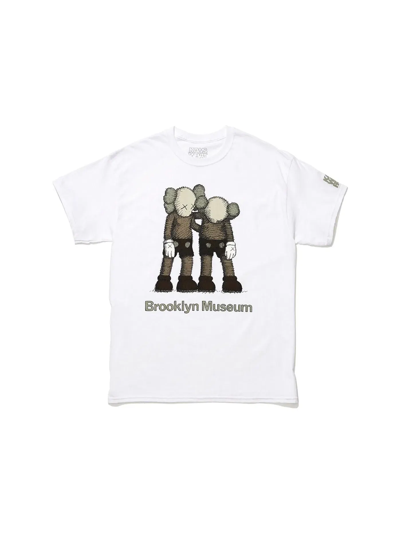 Мужская футболка с принтом KAWS Brooklyn Museum ALONG THE WAY White — изображение 1 из 1