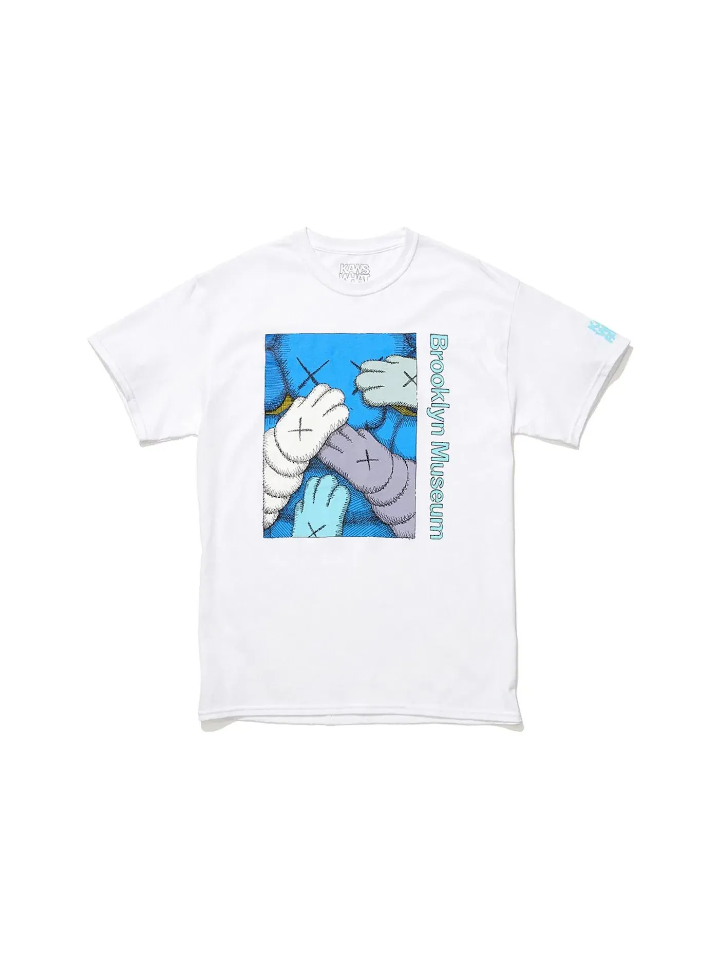Мужская футболка с принтом KAWS Brooklyn Museum URGE T-shirt White/Cyan — изображение 1 из 1, белый/голубой