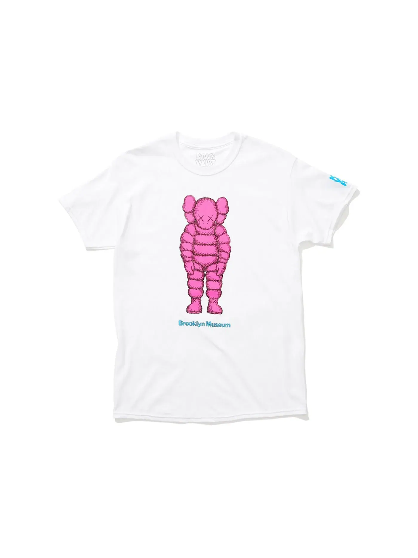 Мужская футболка с принтом KAWS Brooklyn Museum WHAT PARTY T-shirt White — изображение 1 из 1
