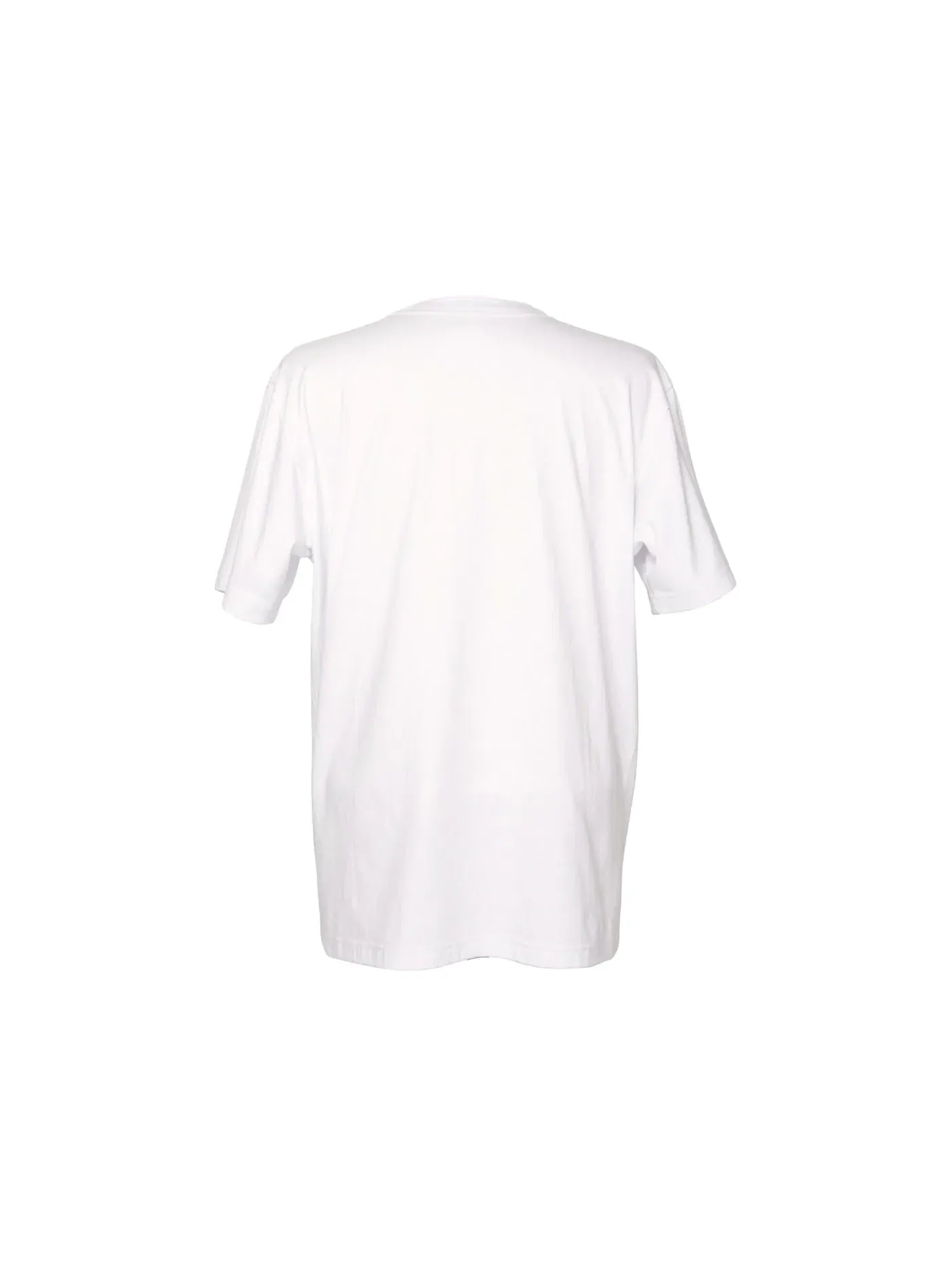 Мужская футболка с принтом KAWS x Sacai Embroidery Tee KAWS — изображение 2 из 2, белый черный