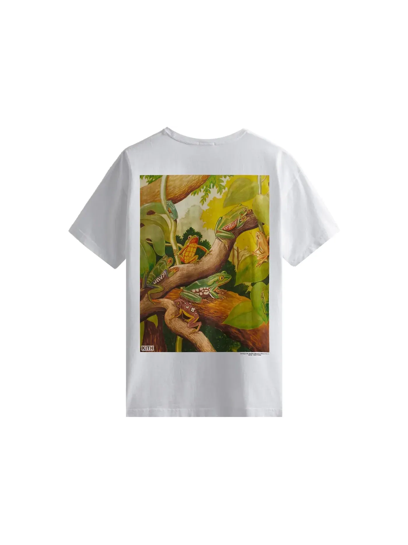 Мужская футболка с принтом Kith AMNH Amphibians Vintage Tee — изображение 1 из 2, белый