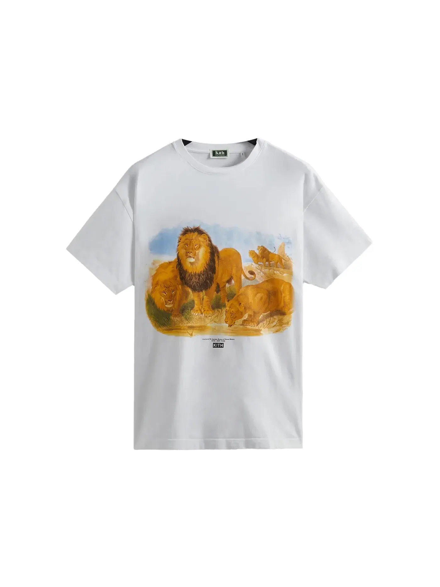 Мужская футболка с принтом Kith AMNH Lion Vintage Tee — изображение 1 из 1, белый