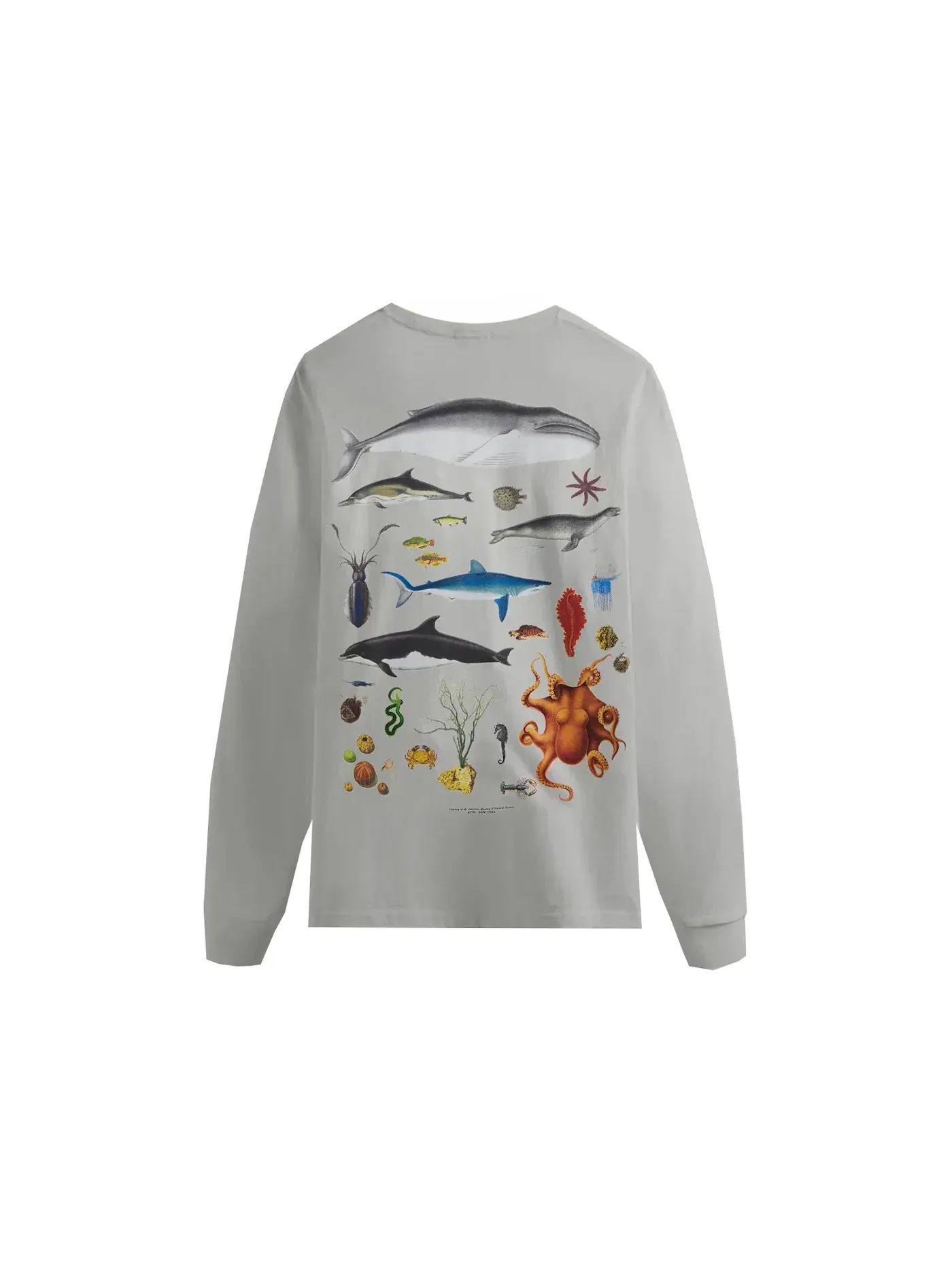 Мужская футболка с длинным рукавом с принтом Marine Life Vintage Kith — изображение 1 из 2, серый