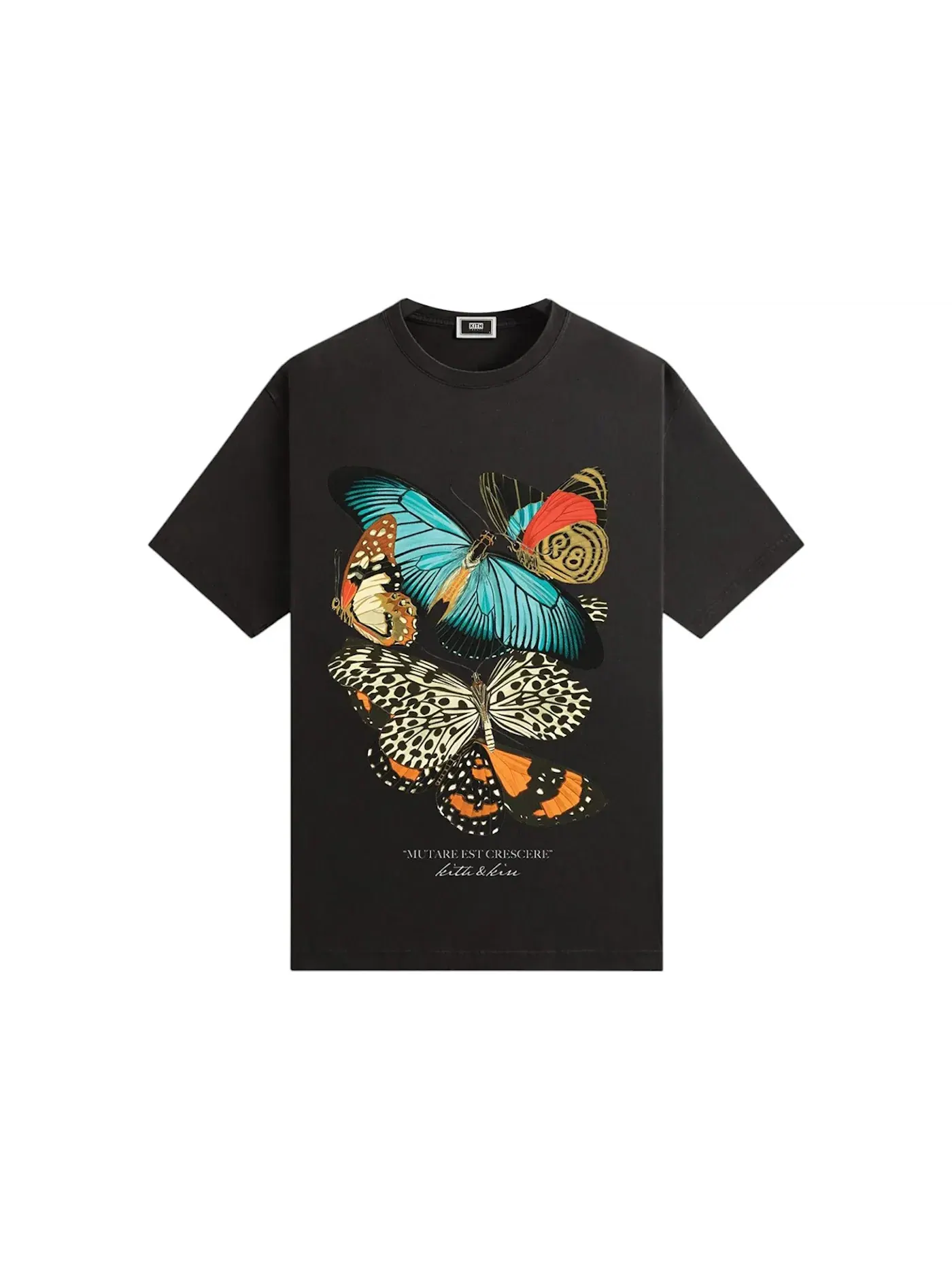 Мужская футболка с принтом Kith Butterfly Vintage Tee Kith — изображение 1 из 2, черный