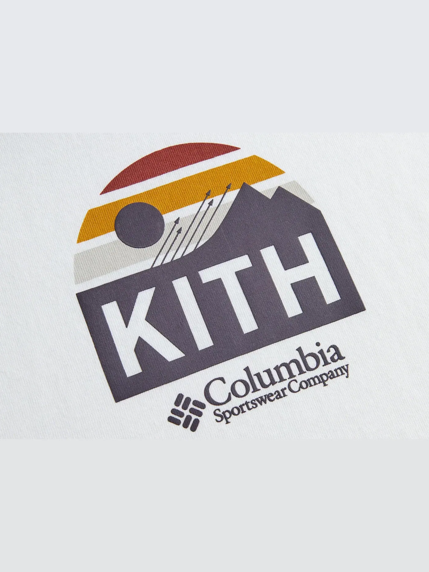 Мужская футболка с принтом Tee Kith — изображение 2 из 2, белый