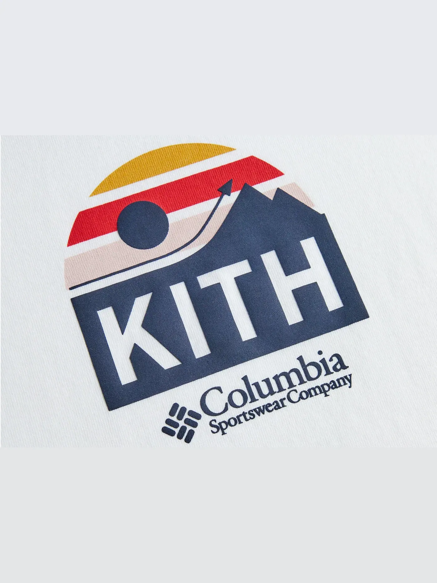 Мужская футболка с принтом Kith Columbia Eea Wind Tee — изображение 2 из 2, белый