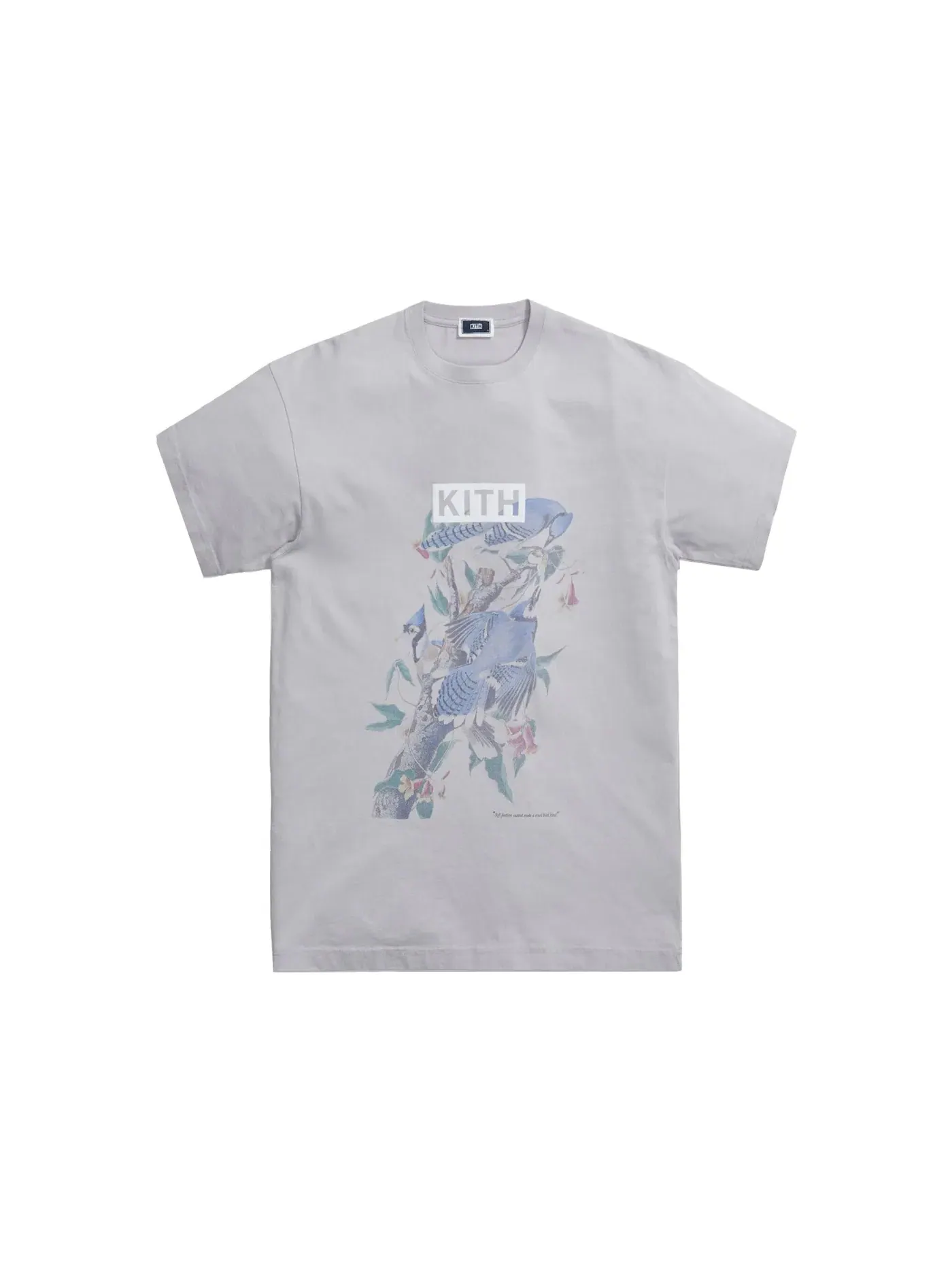 Мужская футболка с принтом Kith Cruel Bird Vintage Tee Kith — изображение 1 из 1, серый