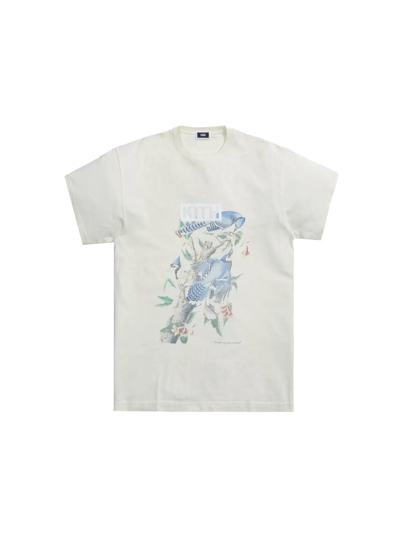 Мужская футболка с принтом Kith Tee, Sandrift — изображение 1 из 1