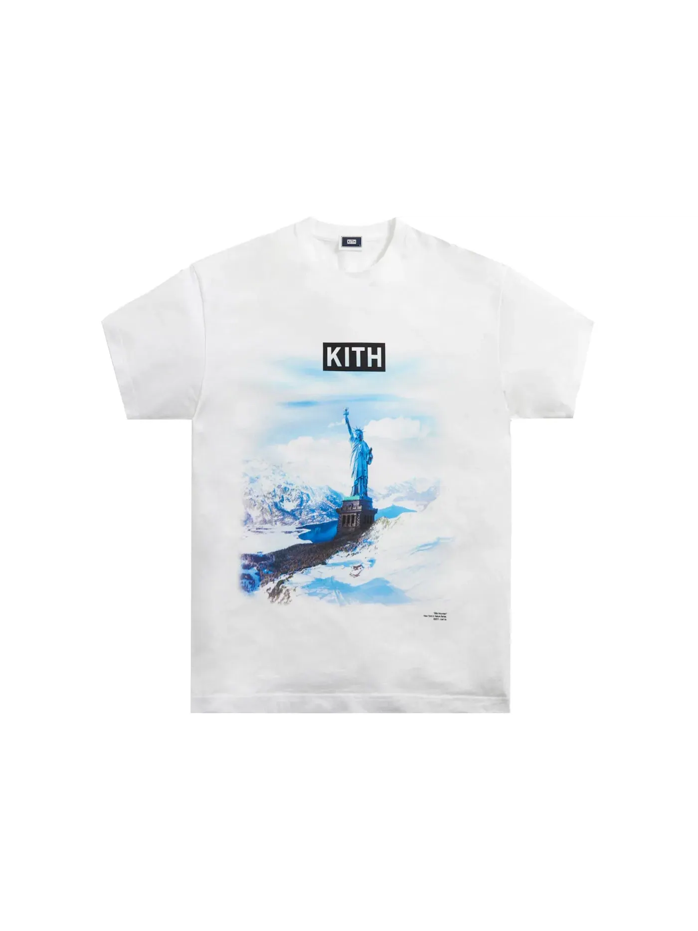 Мужская футболка хлопковая Kith Ellis Mountain Tee — изображение 1 из 2, белый