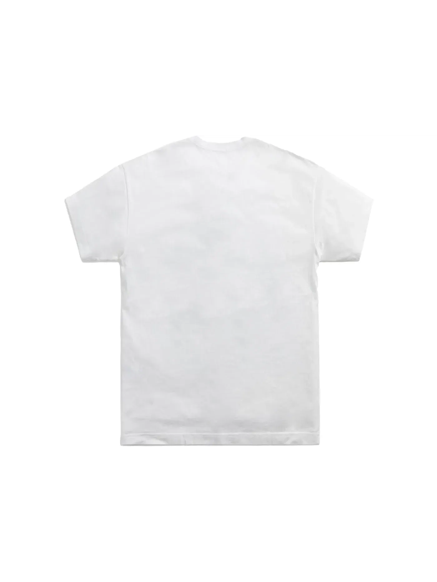 Мужская футболка хлопковая Kith Ellis Mountain Tee — изображение 2 из 2, белый