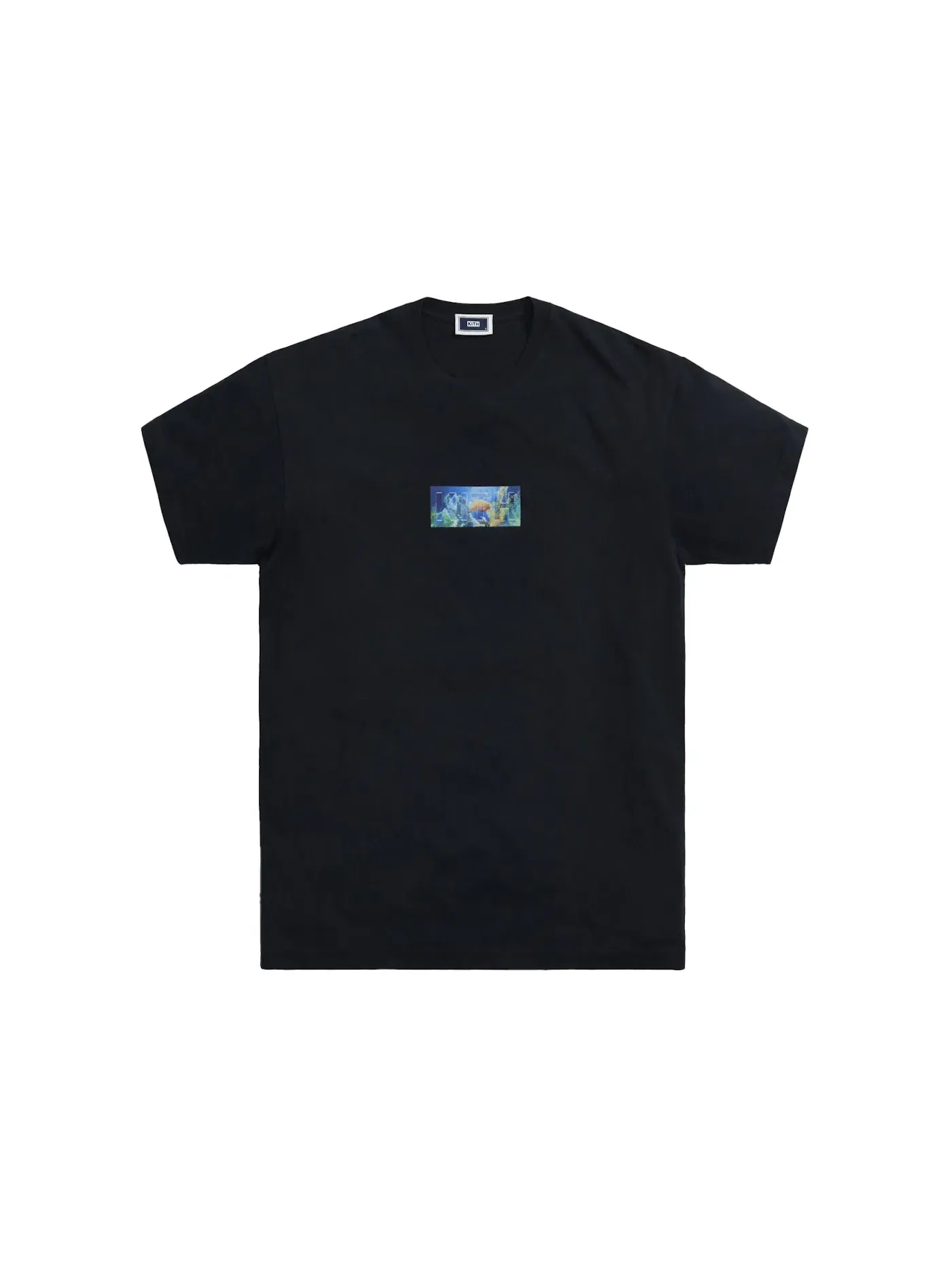 Мужская футболка с принтом Kith Fish Tank Classic Logo Tee — изображение 1 из 1, черный