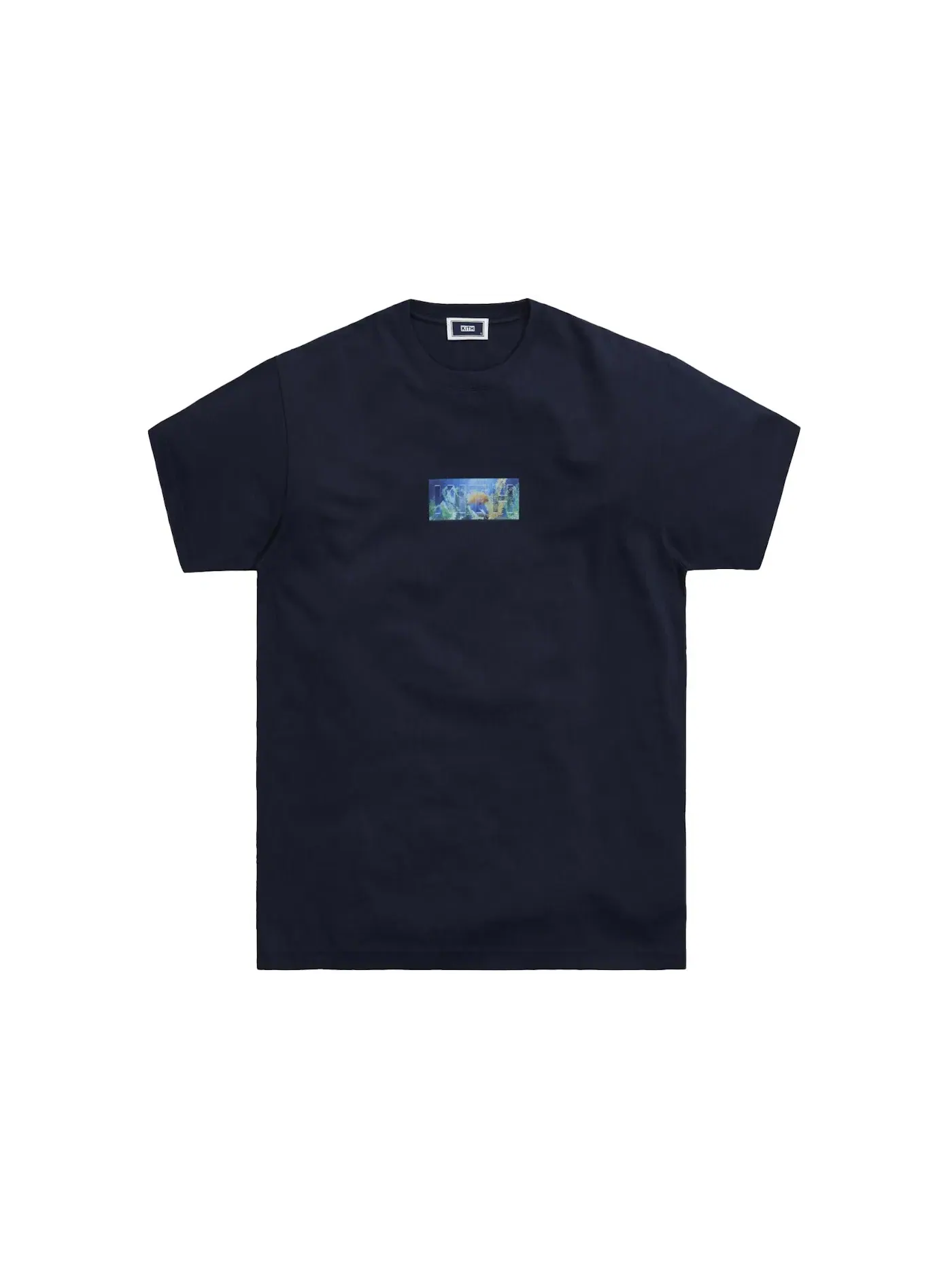 Мужская футболка с принтом Kith Fish Tank Classic Logo Tee — изображение 1 из 1, ночной