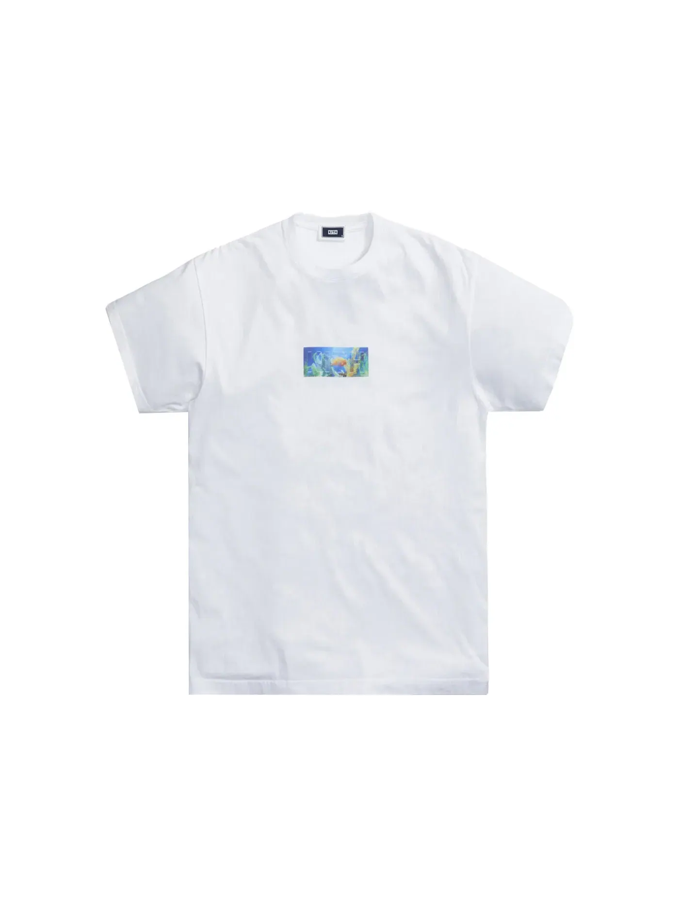 Мужская футболка с принтом Kith Fish Tank Classic Logo Tee — изображение 1 из 1, белый
