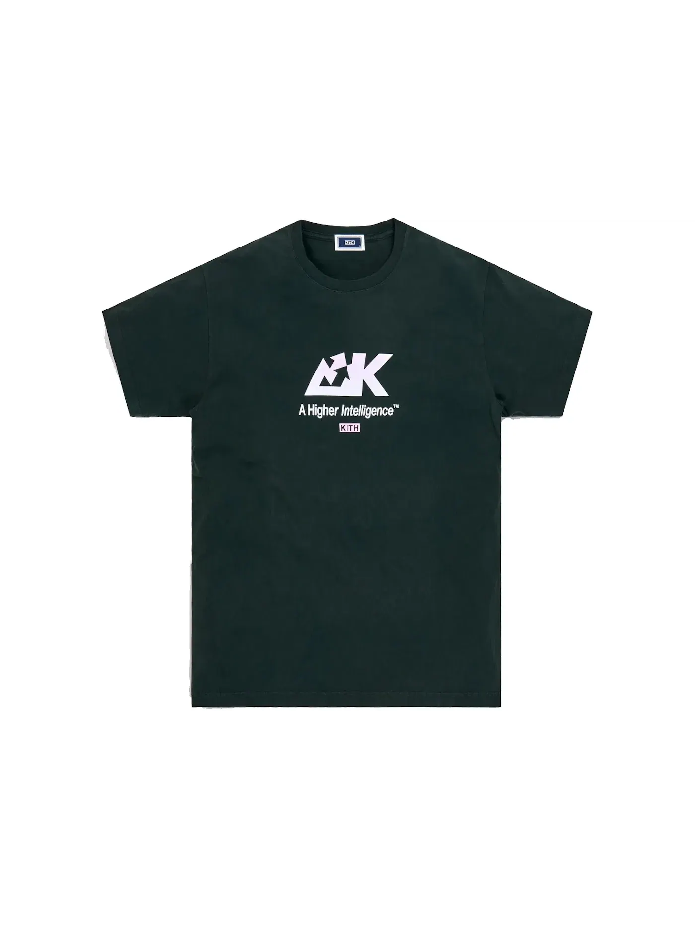 Мужская футболка с принтом Kith Tee, Scarab — изображение 1 из 2